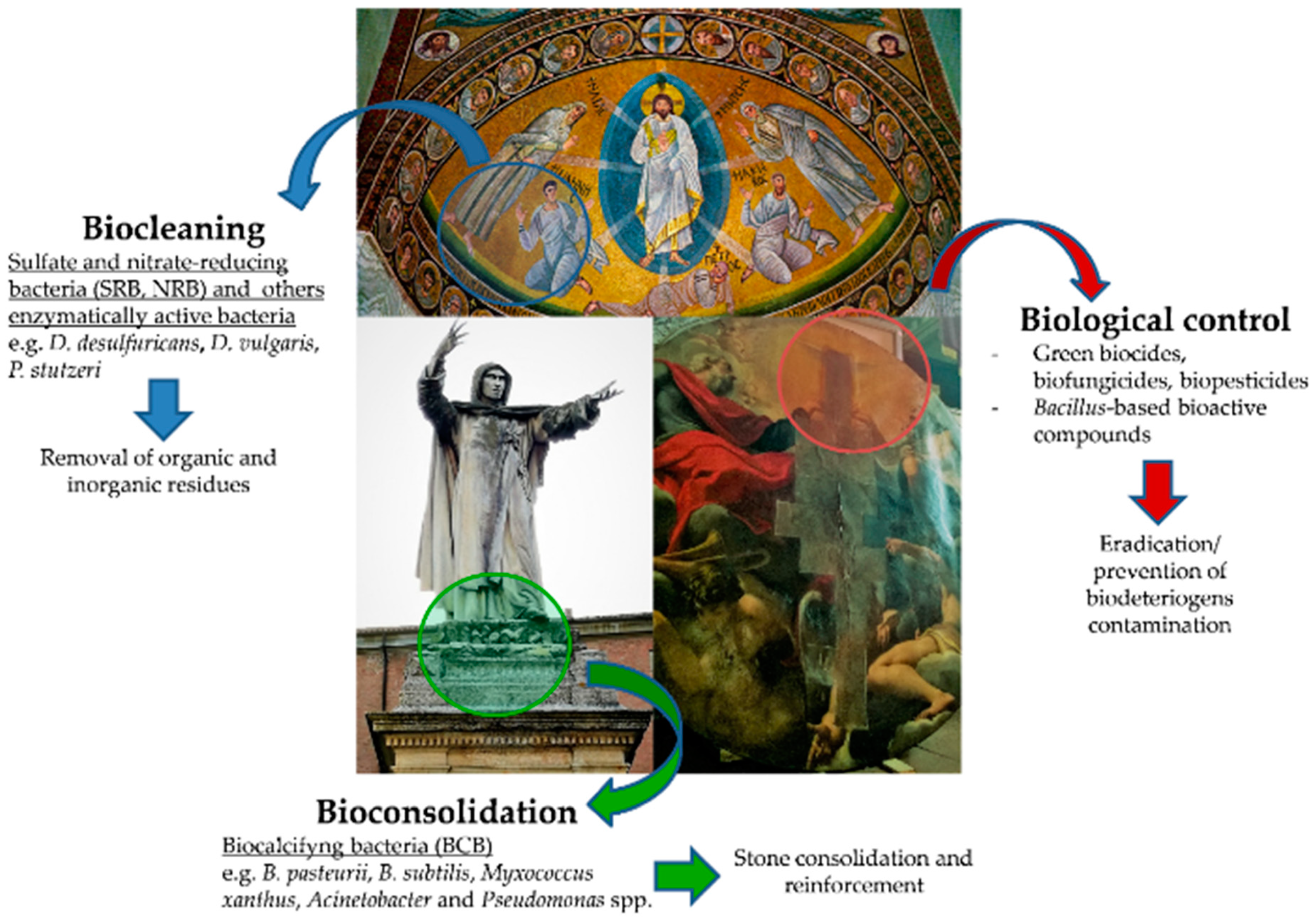 Sustainability 11 03853 g001 Sustainability 11 03853 g001