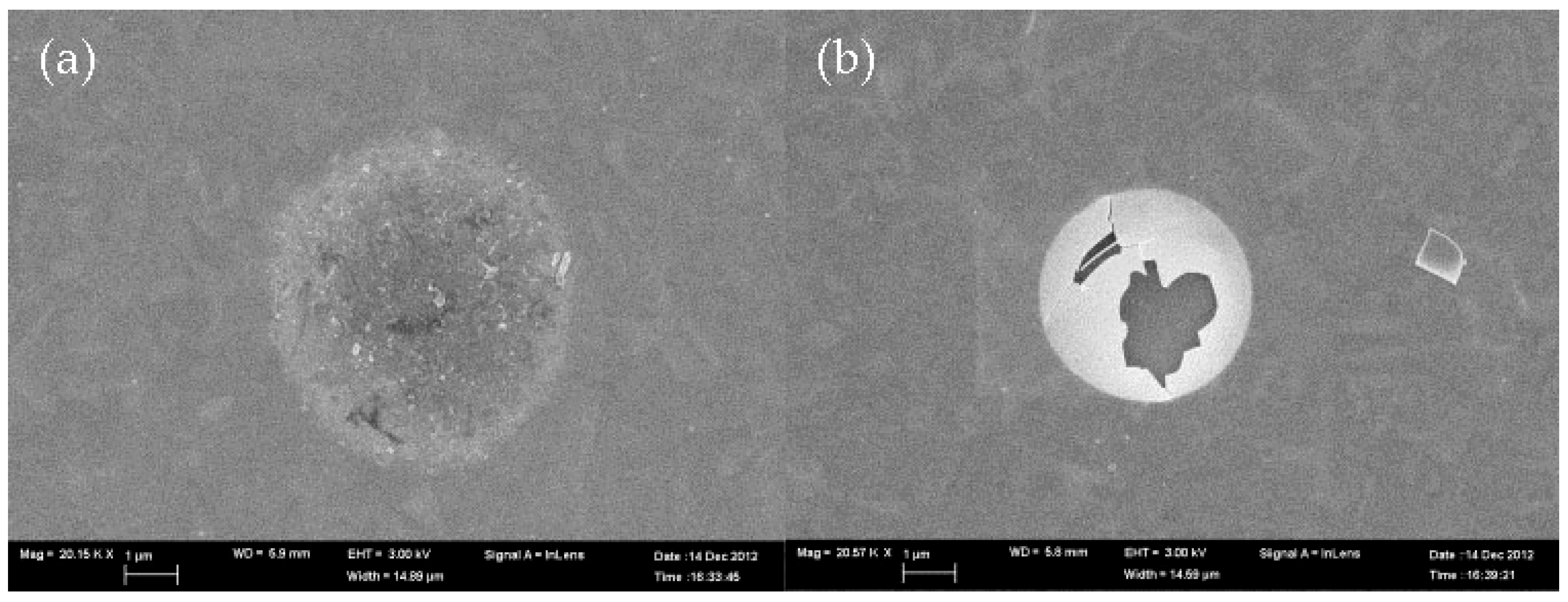 Sustainability 11 03857 g005