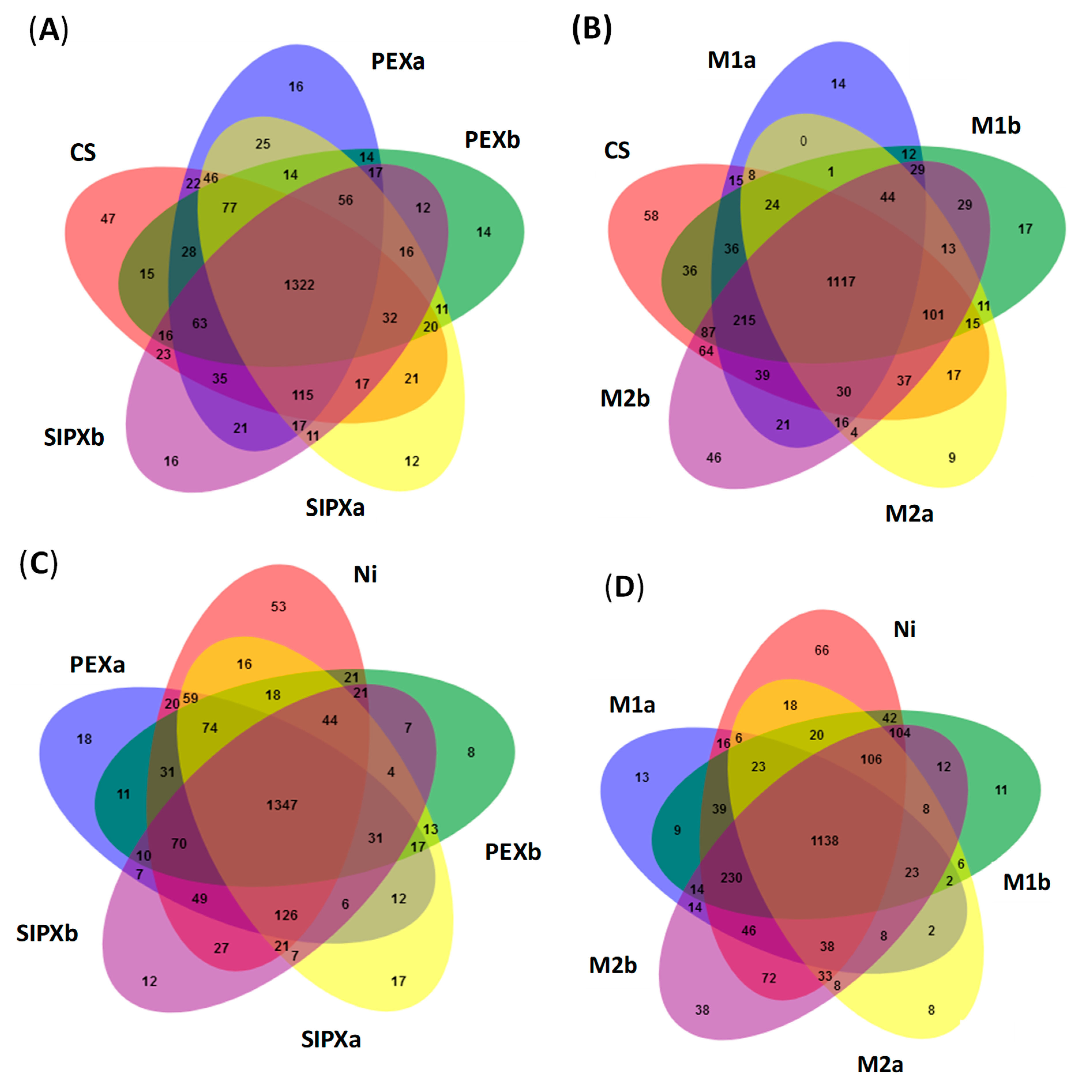 Sustainability 11 03888 g002