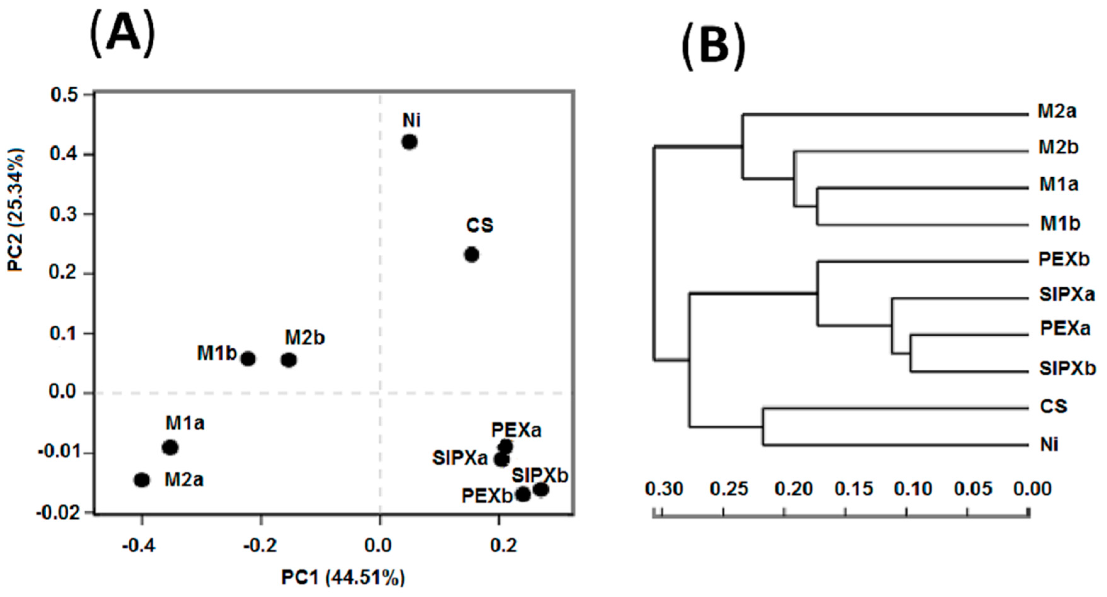 Sustainability 11 03888 g003