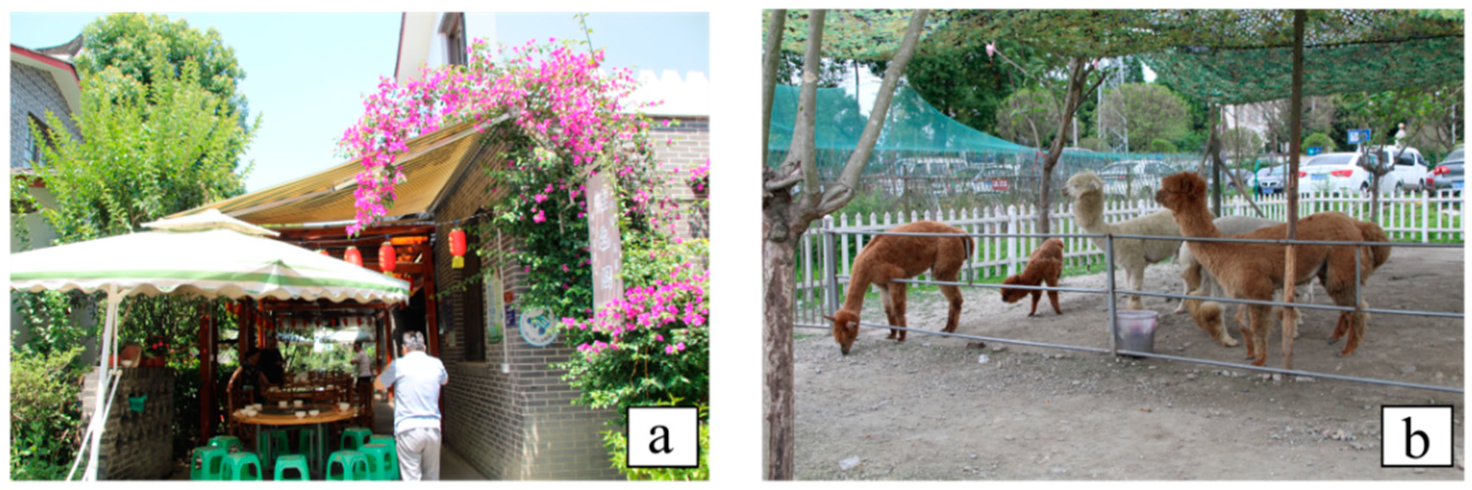 Sustainability 11 03890 g015