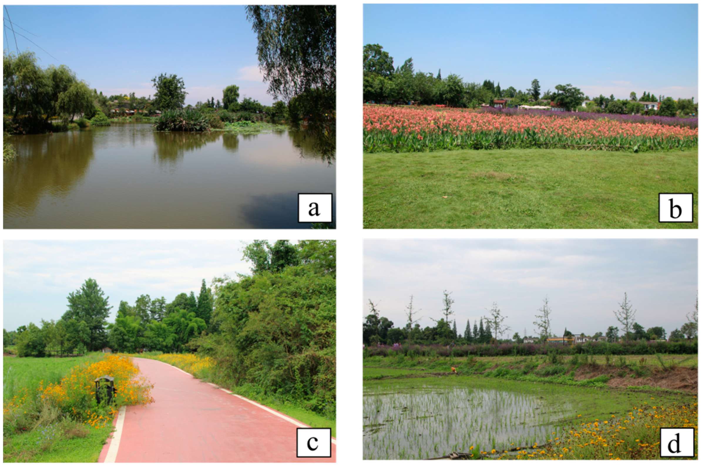 Sustainability 11 03890 g016