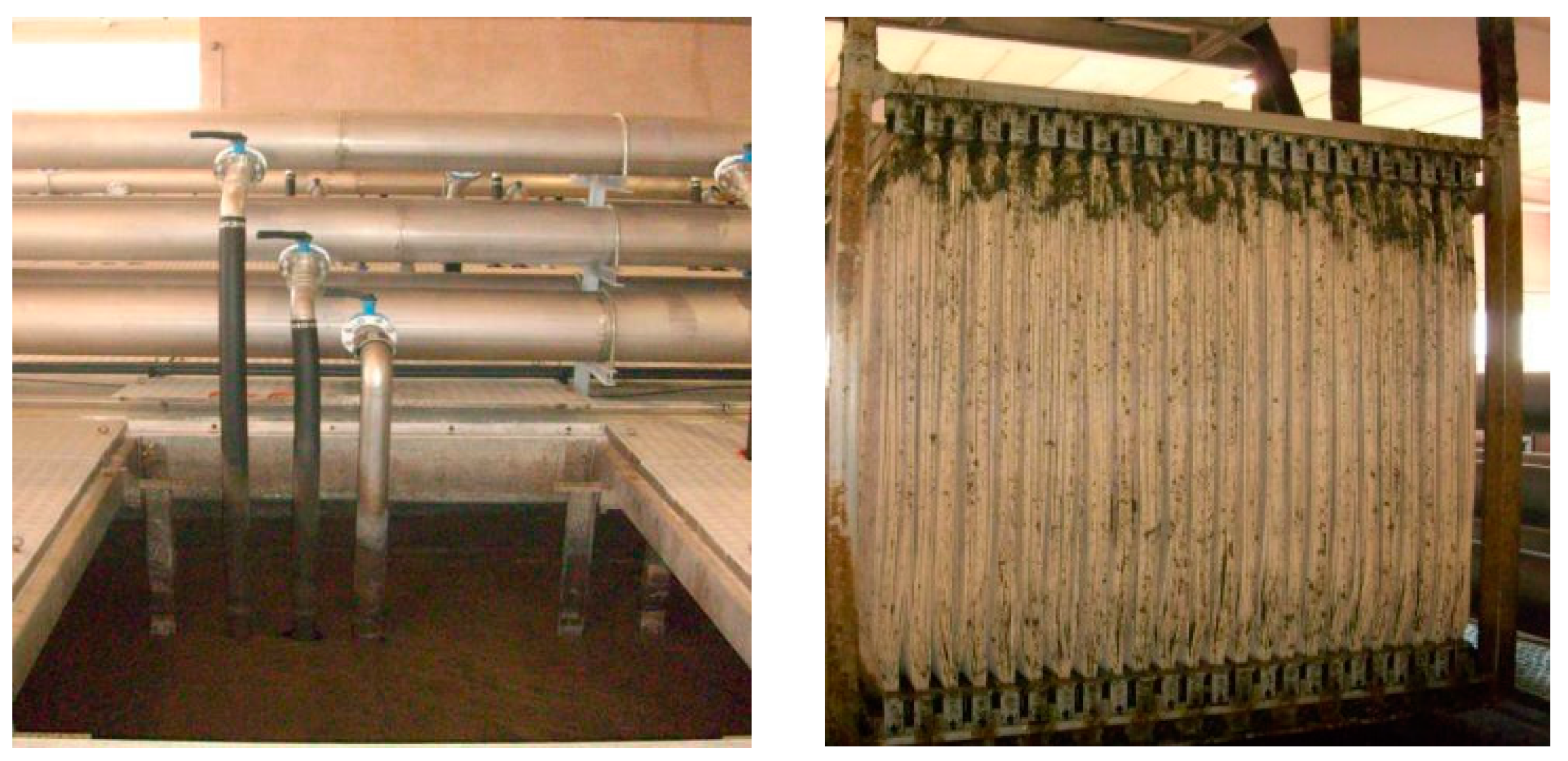 Sustainability 11 03919 g007