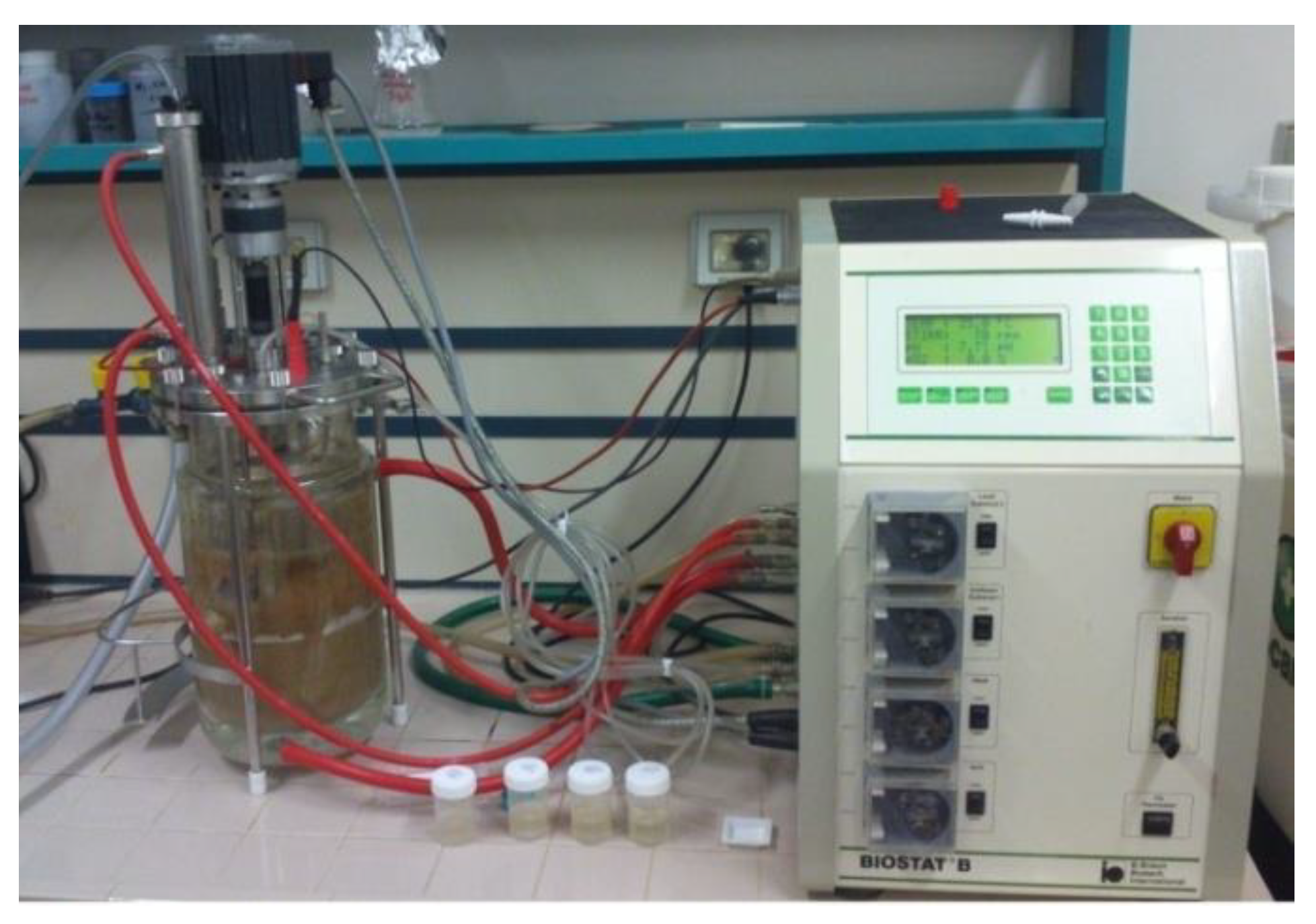 Sustainability 11 03923 g001