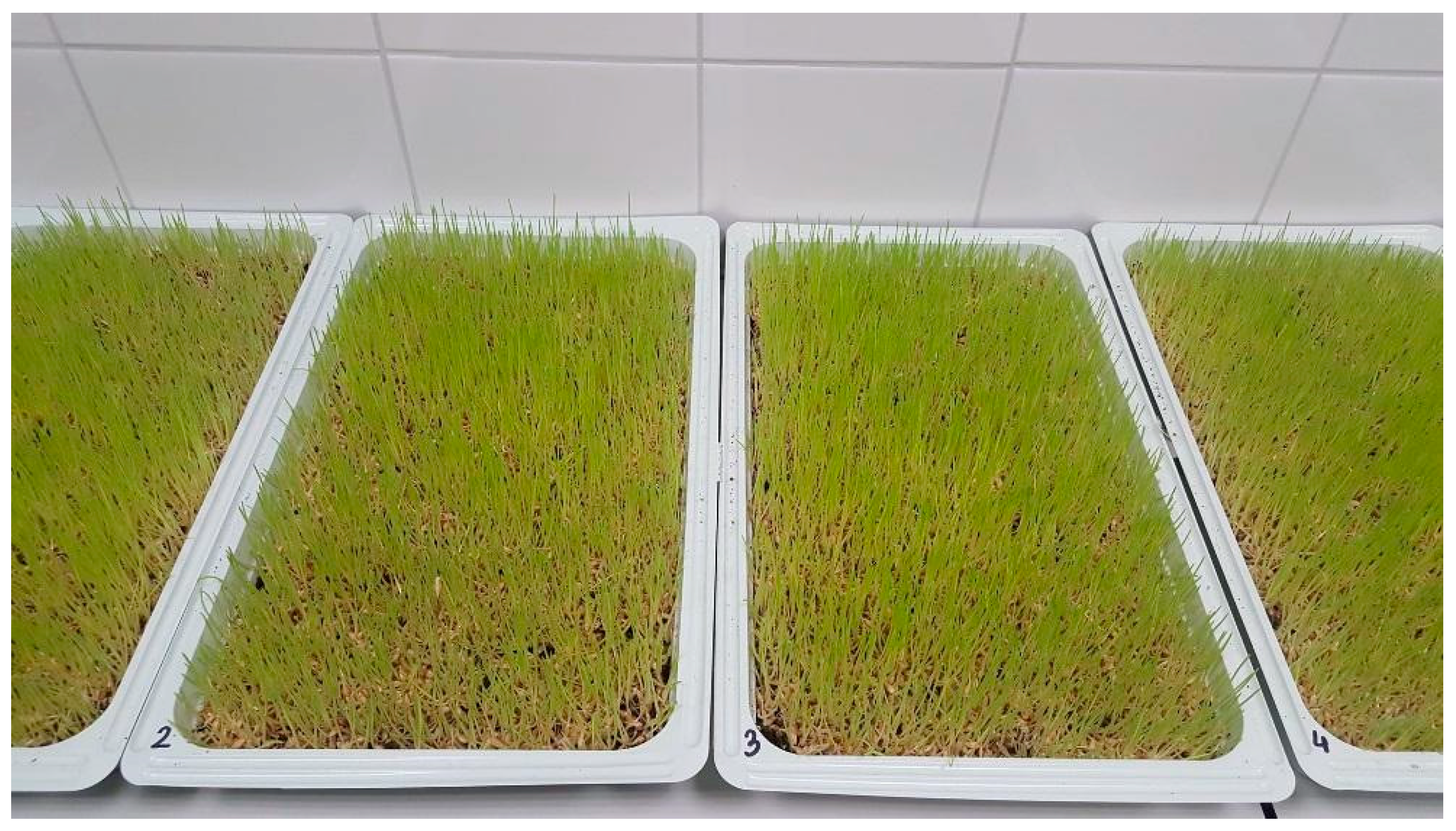 Sustainability 11 03960 g001