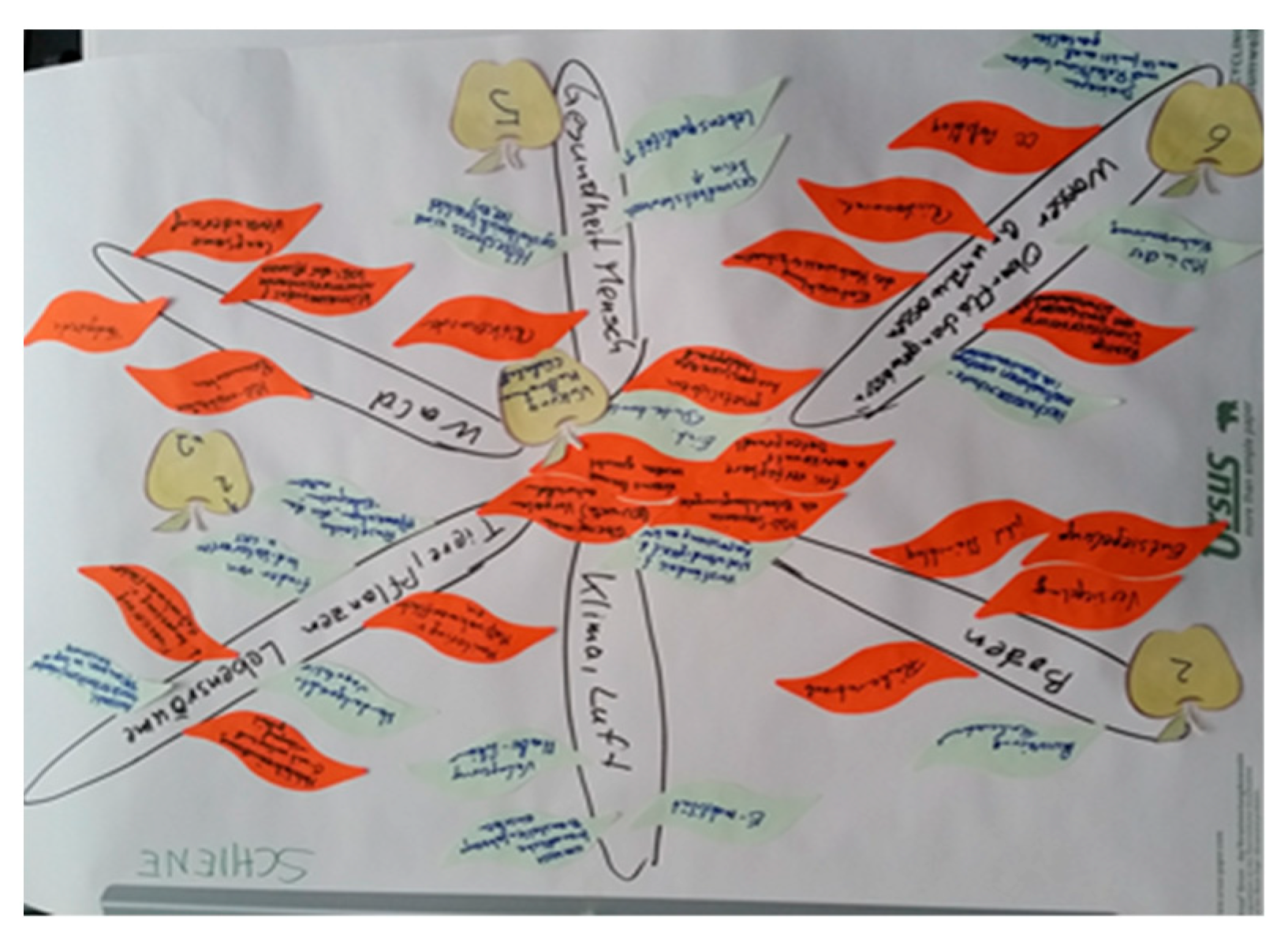 Sustainability 11 04002 g003 Sustainability 11 04002 g003