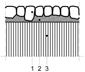 Sustainability 11 04009 i005
