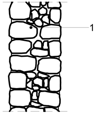 Sustainability 11 04009 i011