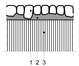 Sustainability 11 04009 i015