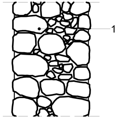 Sustainability 11 04009 i019