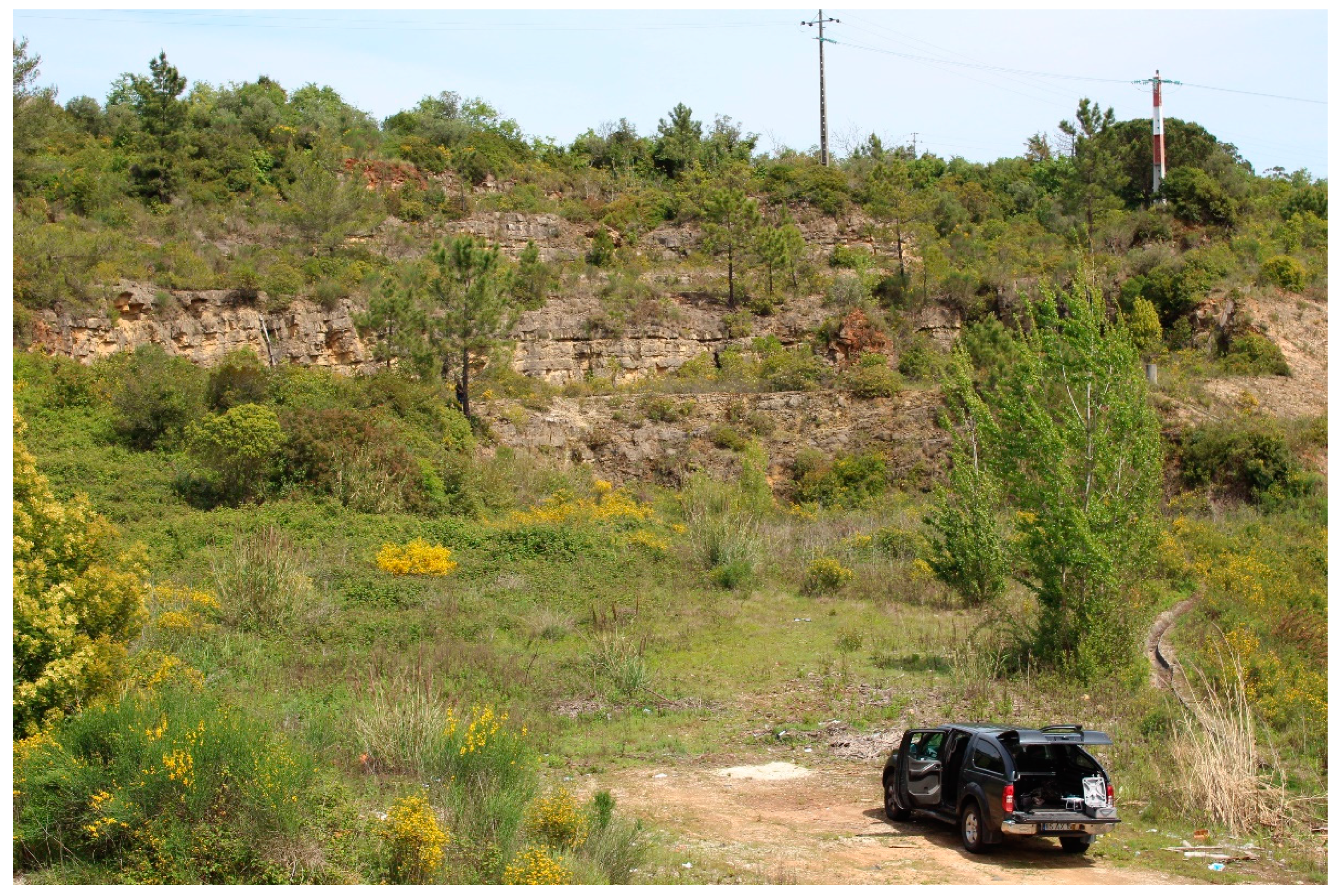 Sustainability 11 04158 g011