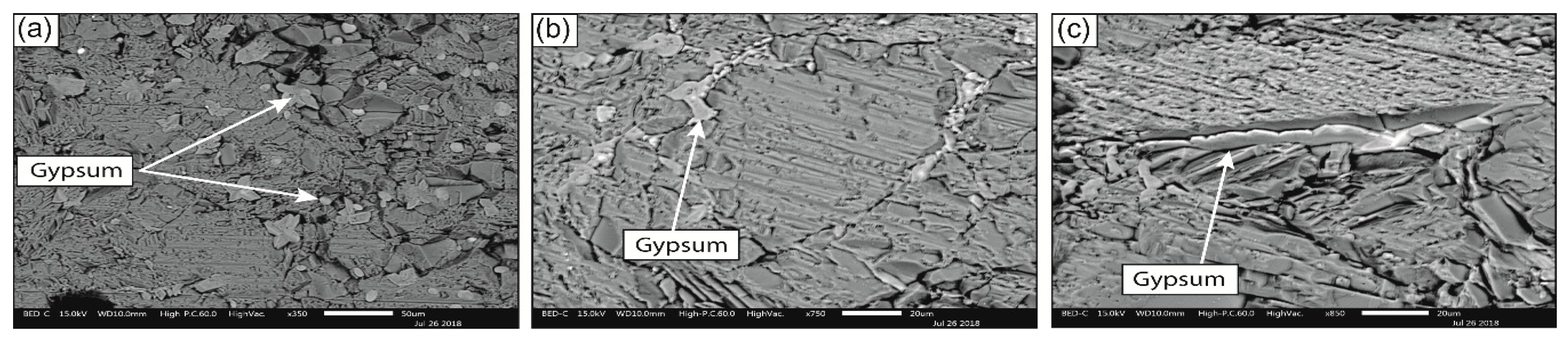 Sustainability 11 04229 g010