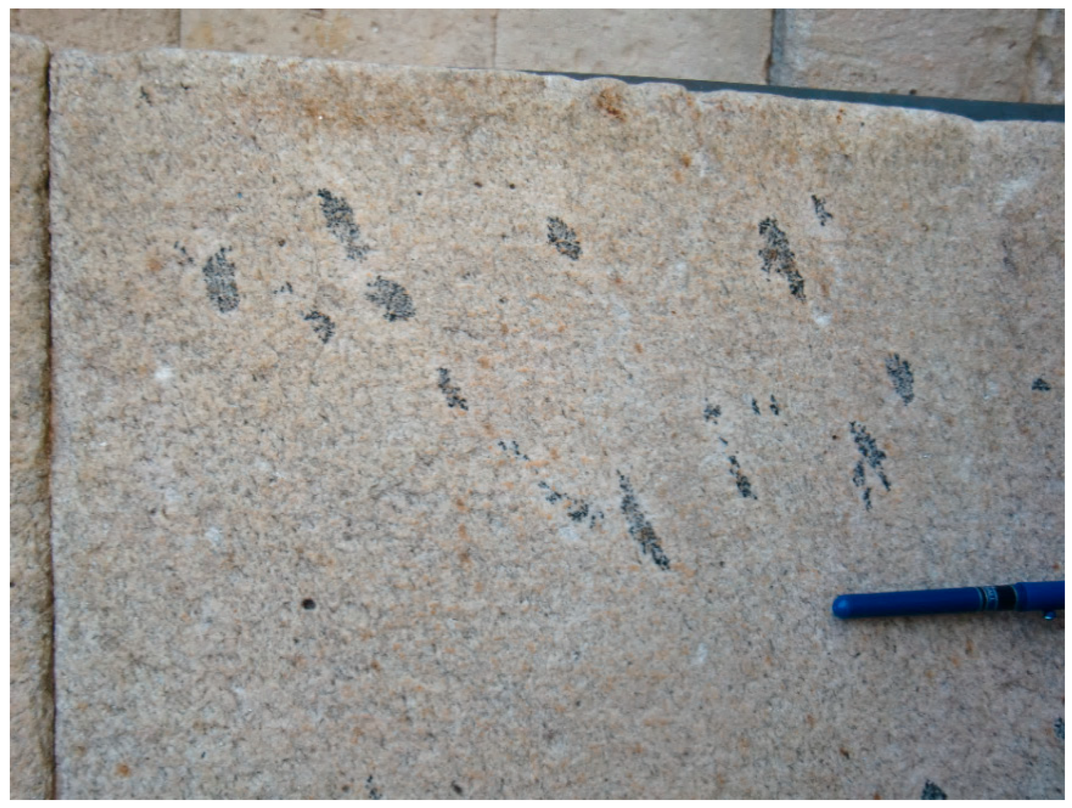 Sustainability 11 04352 g002