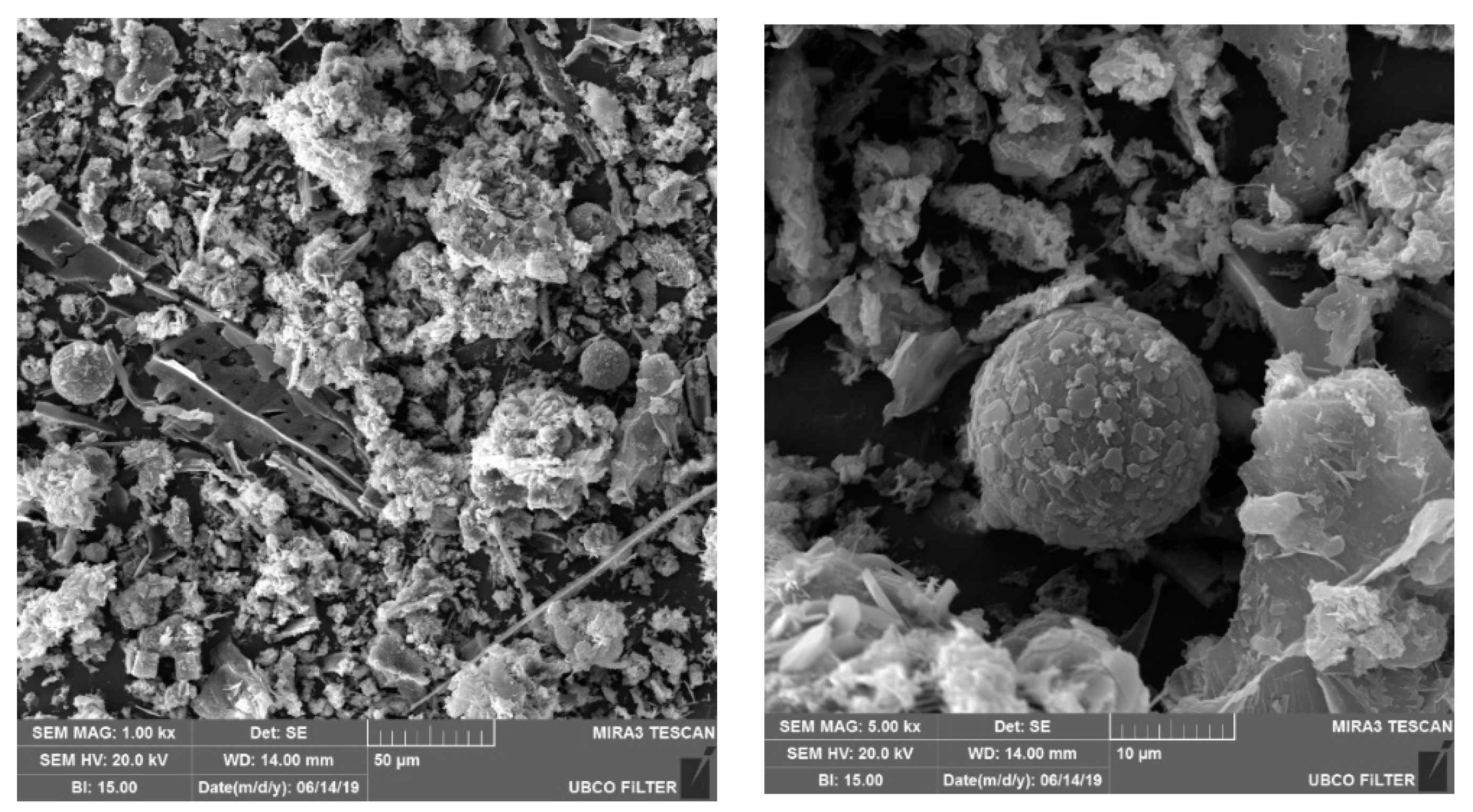 Sustainability 11 04394 g002