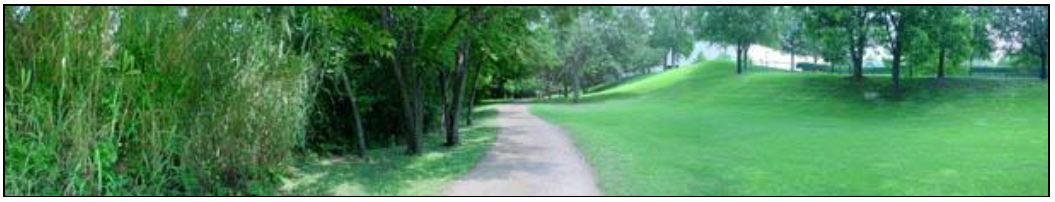 Sustainability 11 04438 g005