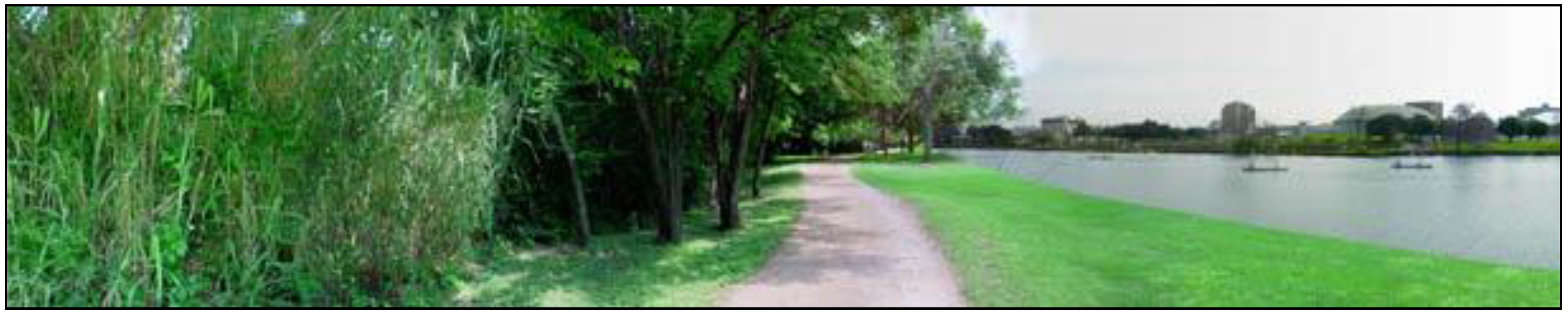 Sustainability 11 04438 g006