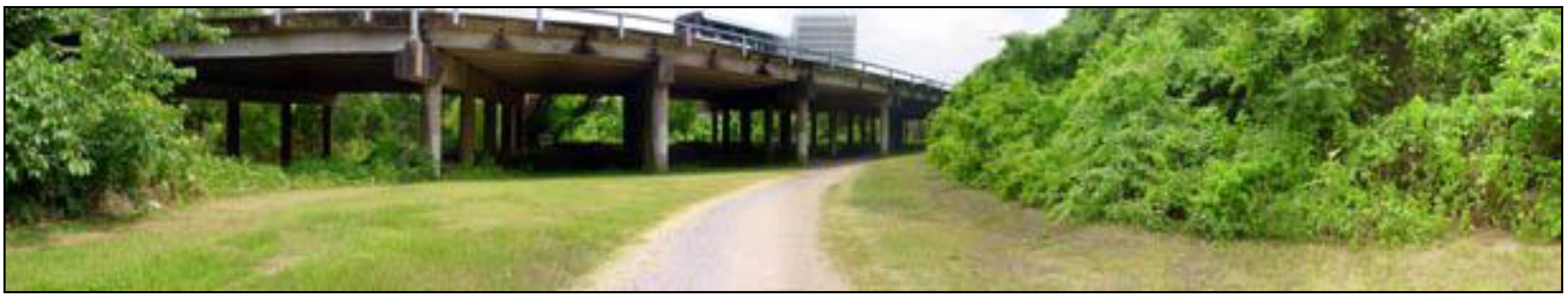 Sustainability 11 04438 g007