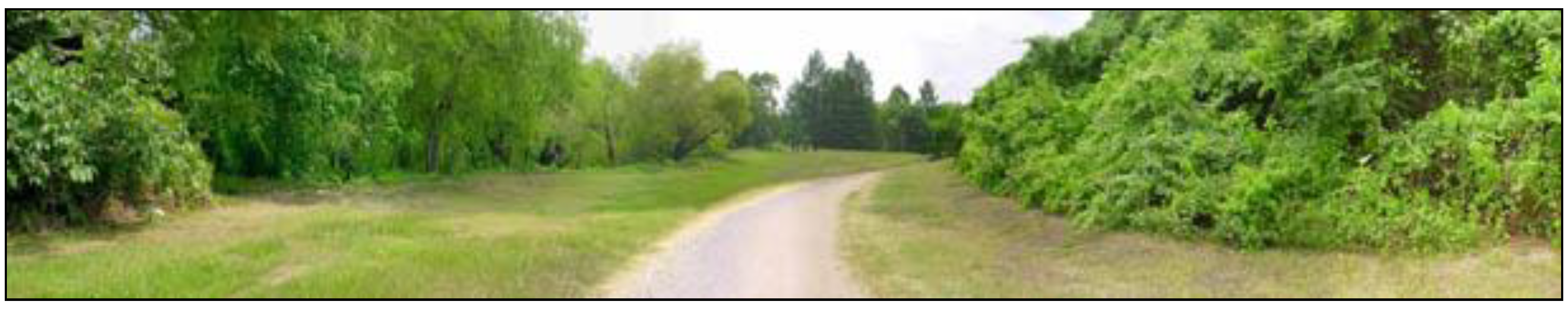 Sustainability 11 04438 g008