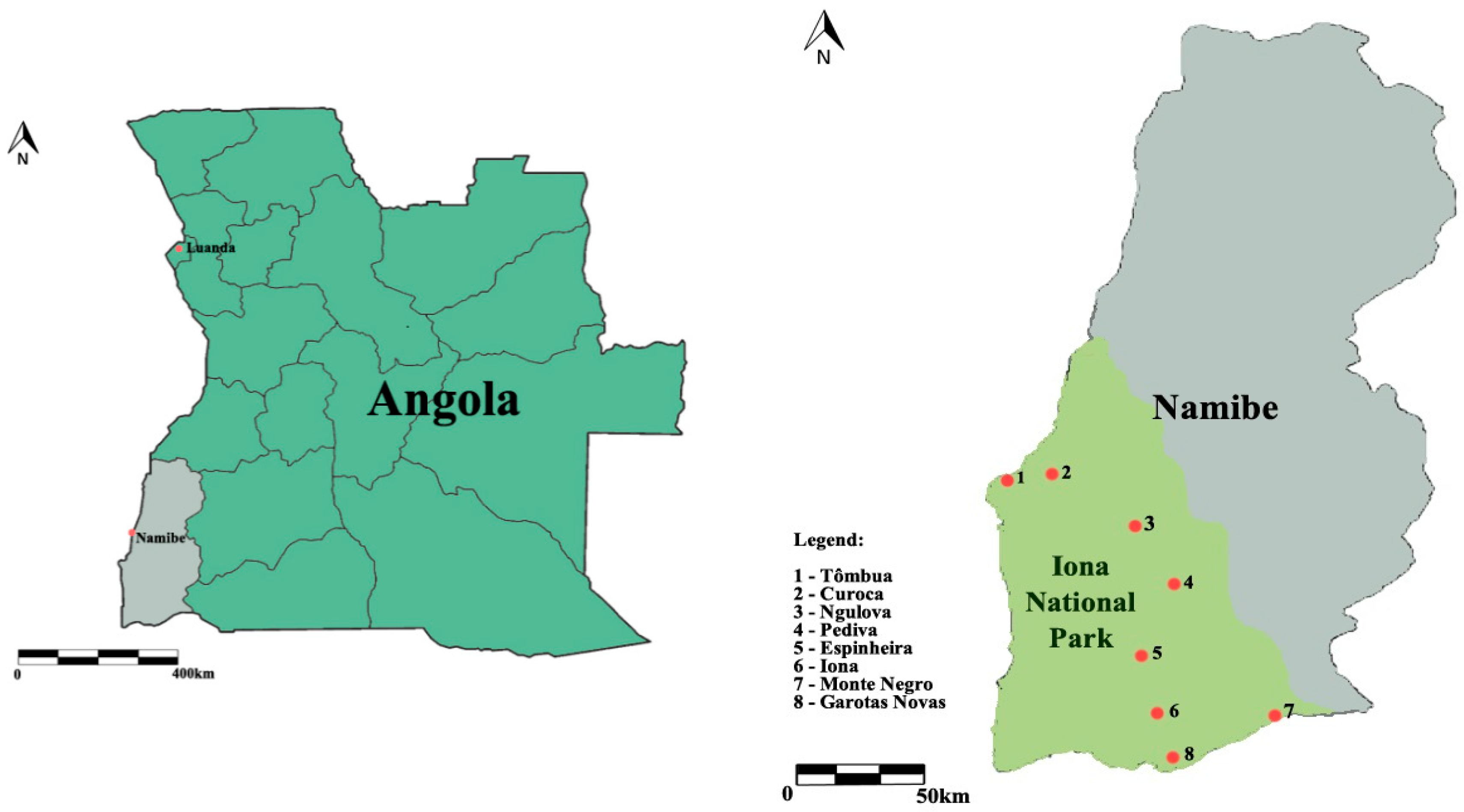 Sustainability 11 04448 g001