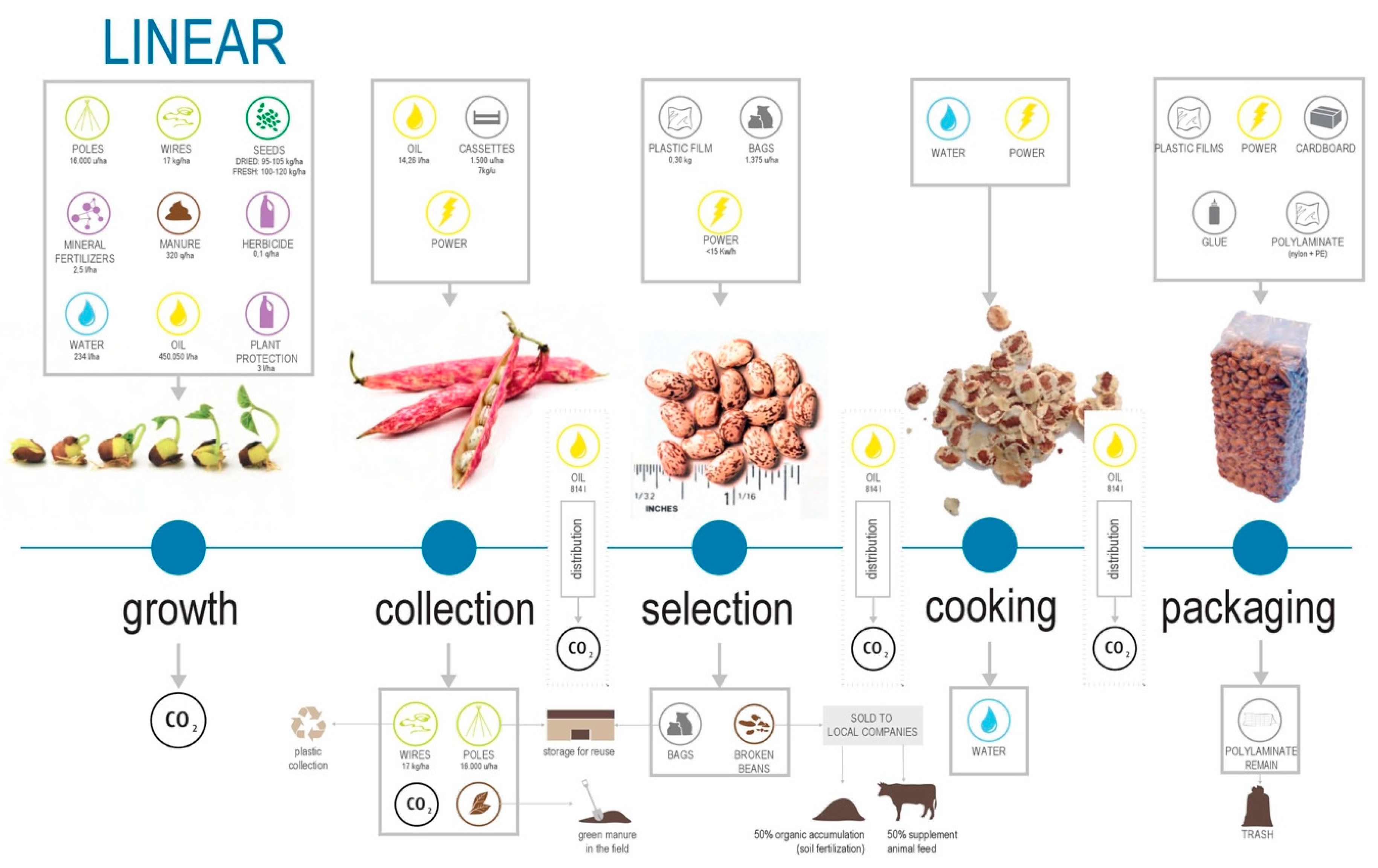 Sustainability 11 04458 g007