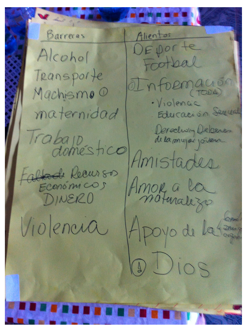 Sustainability 11 04485 g001