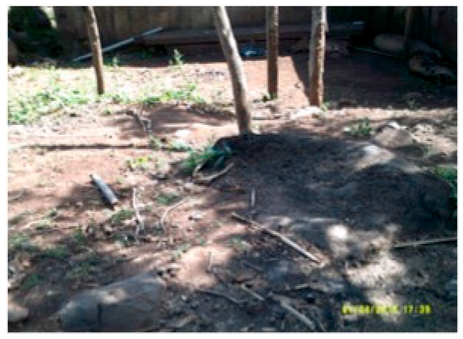 Sustainability 11 04485 g003