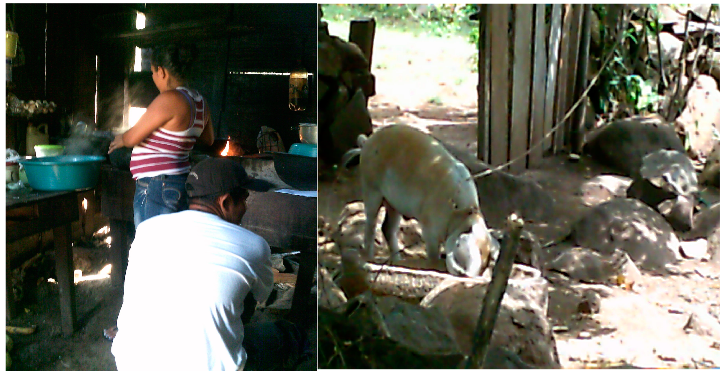 Sustainability 11 04485 g004