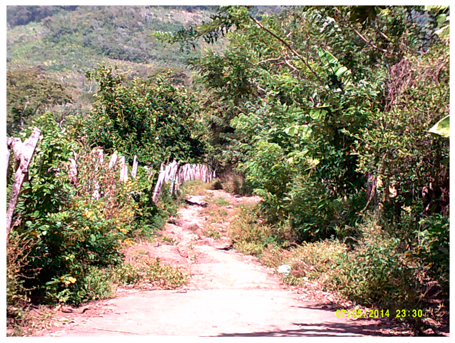 Sustainability 11 04485 g007