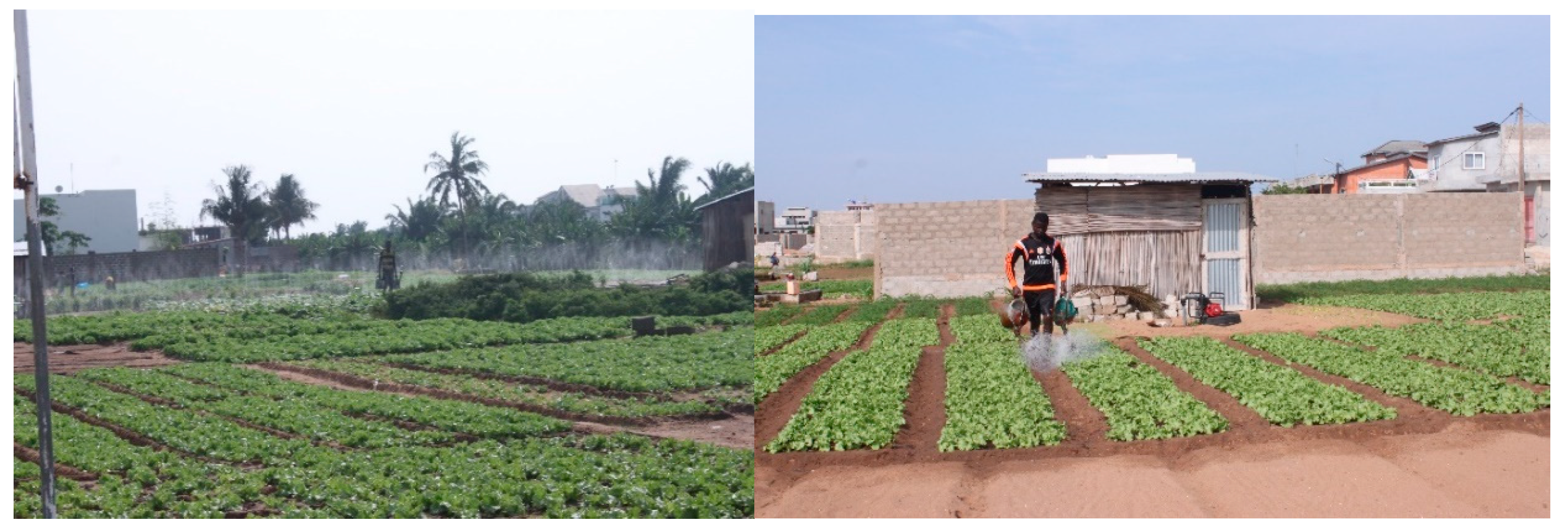 Sustainability 11 04528 g001 Sustainability 11 04528 g001