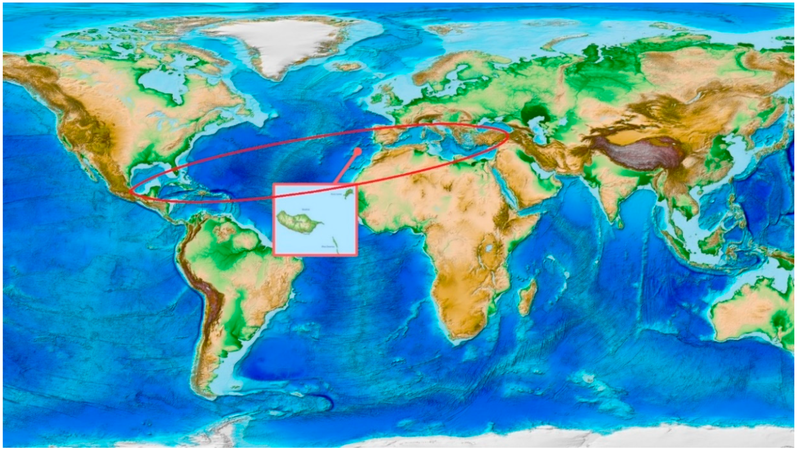 Sustainability 11 04534 g001