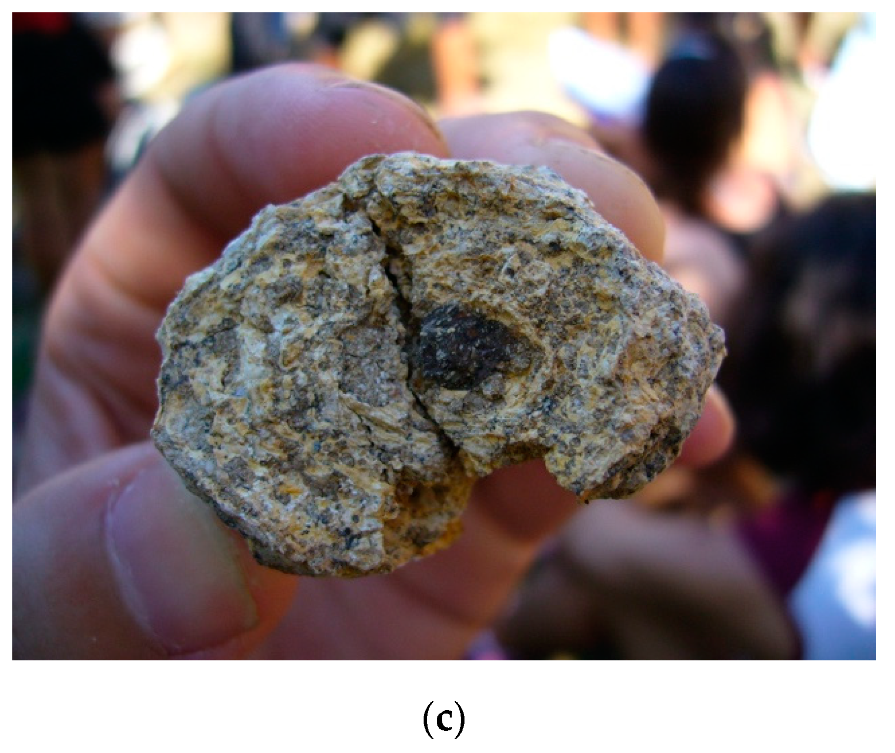 Sustainability 11 04566 g007b