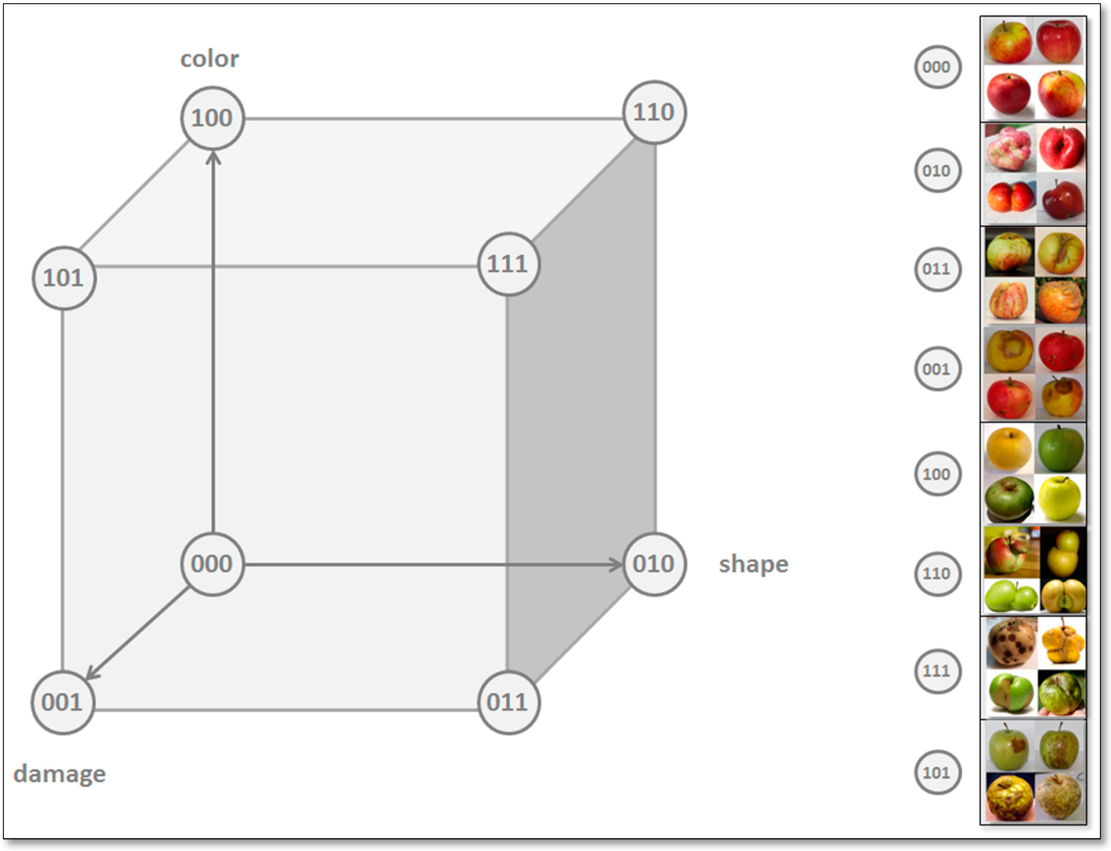 Sustainability 11 04626 g001
