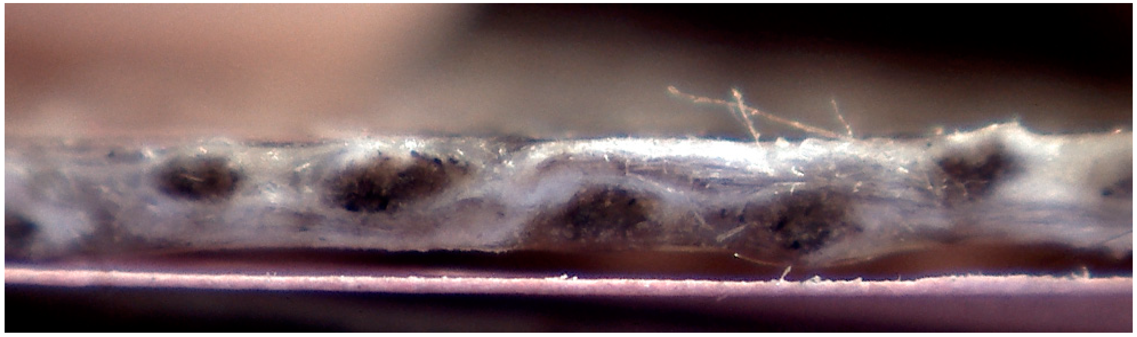 Sustainability 11 04684 g006