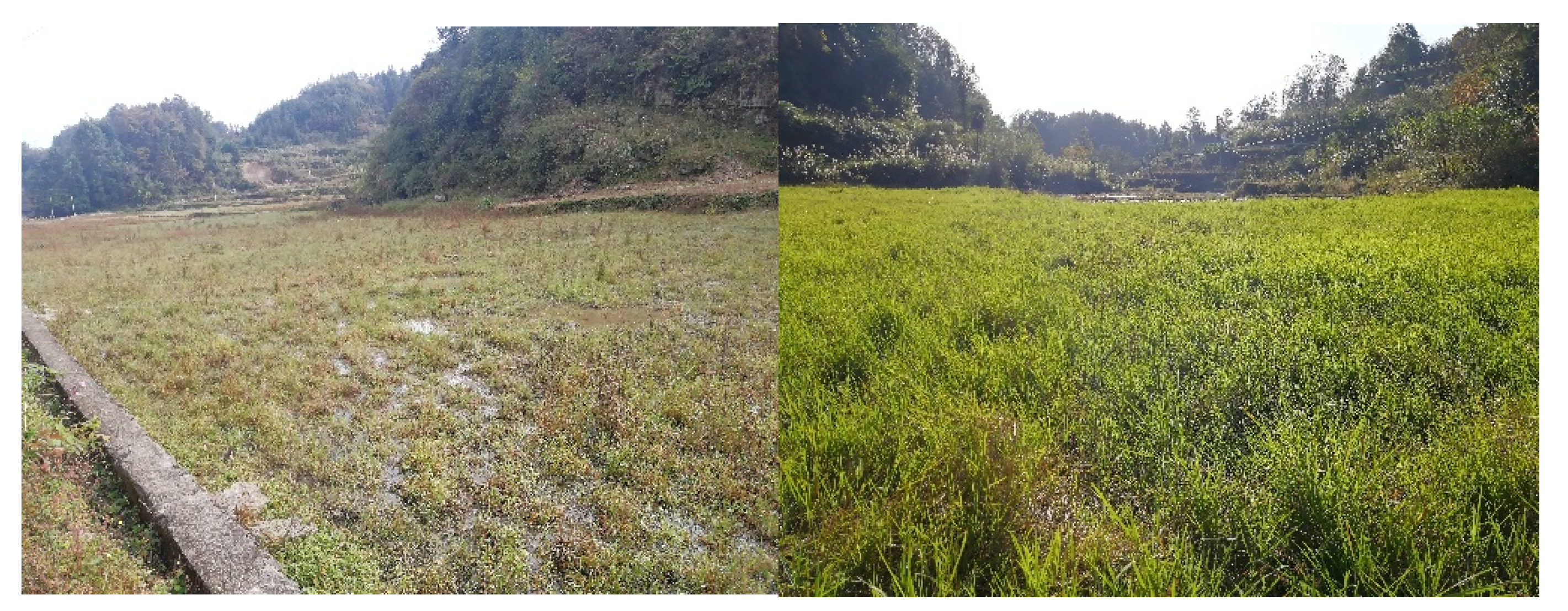 Sustainability 11 04915 g002