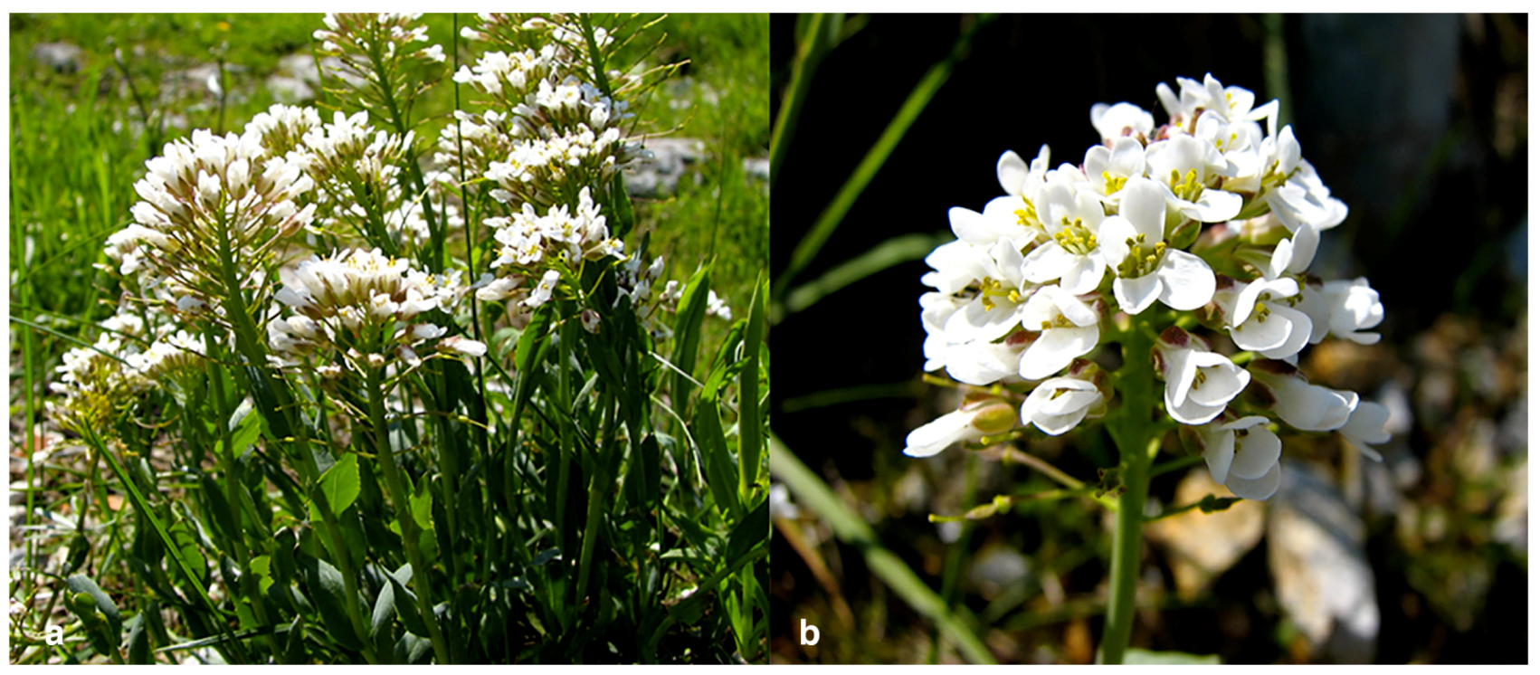 Sustainability 11 05032 g005 Sustainability 11 05032 g005