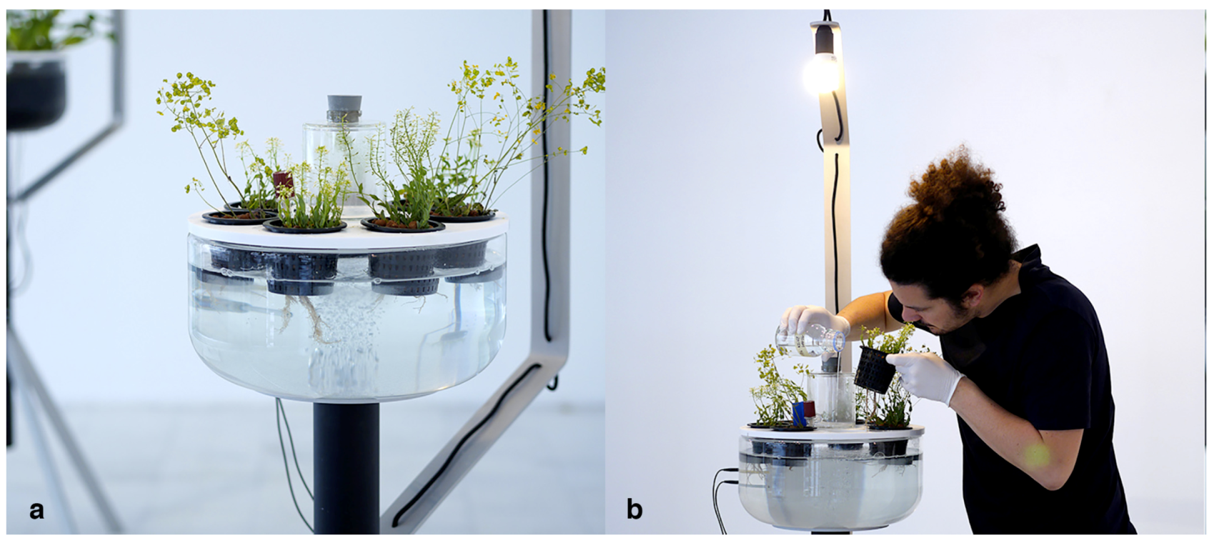 Sustainability 11 05032 g008 Sustainability 11 05032 g008