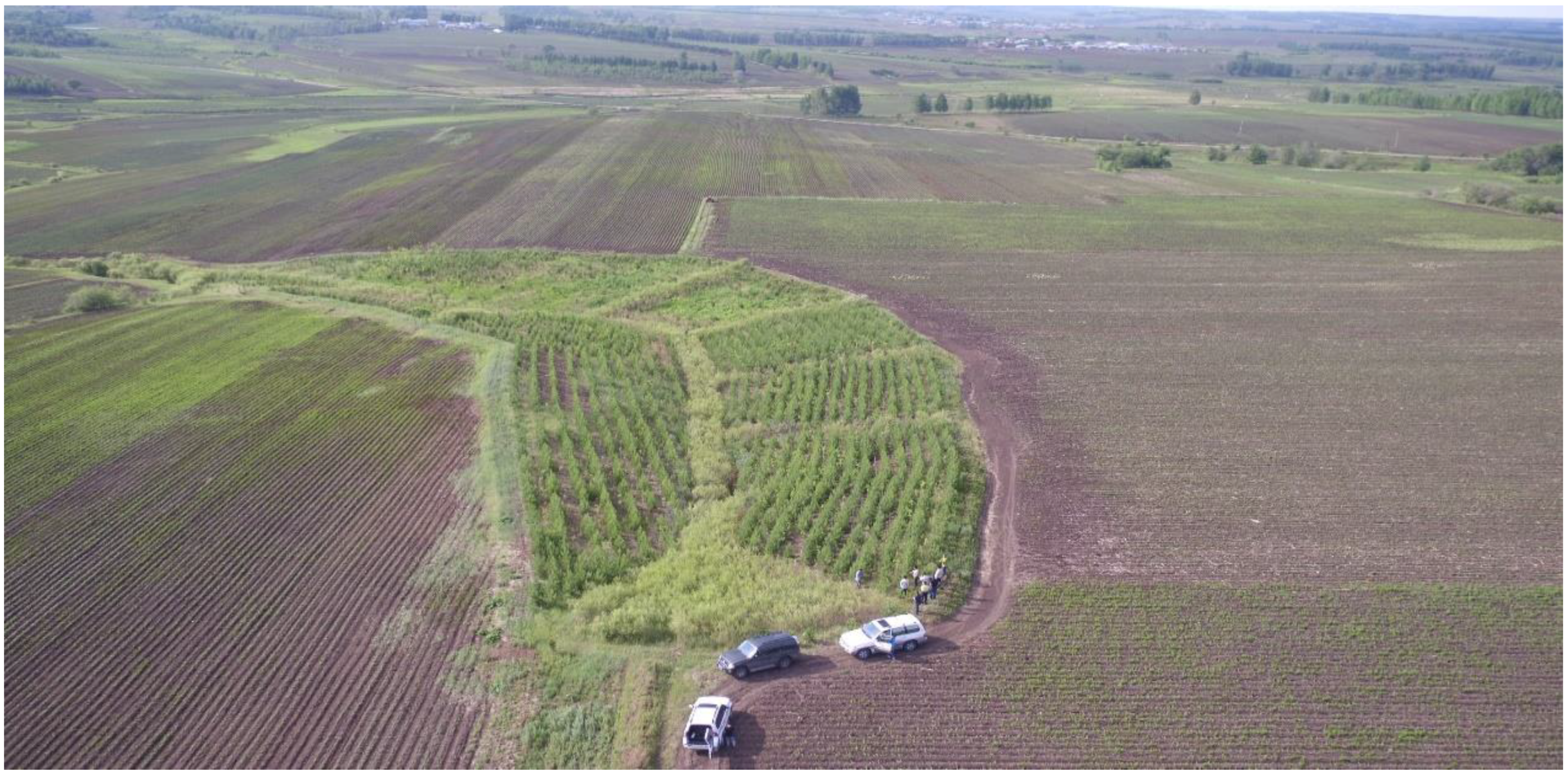 Sustainability 11 05065 g002