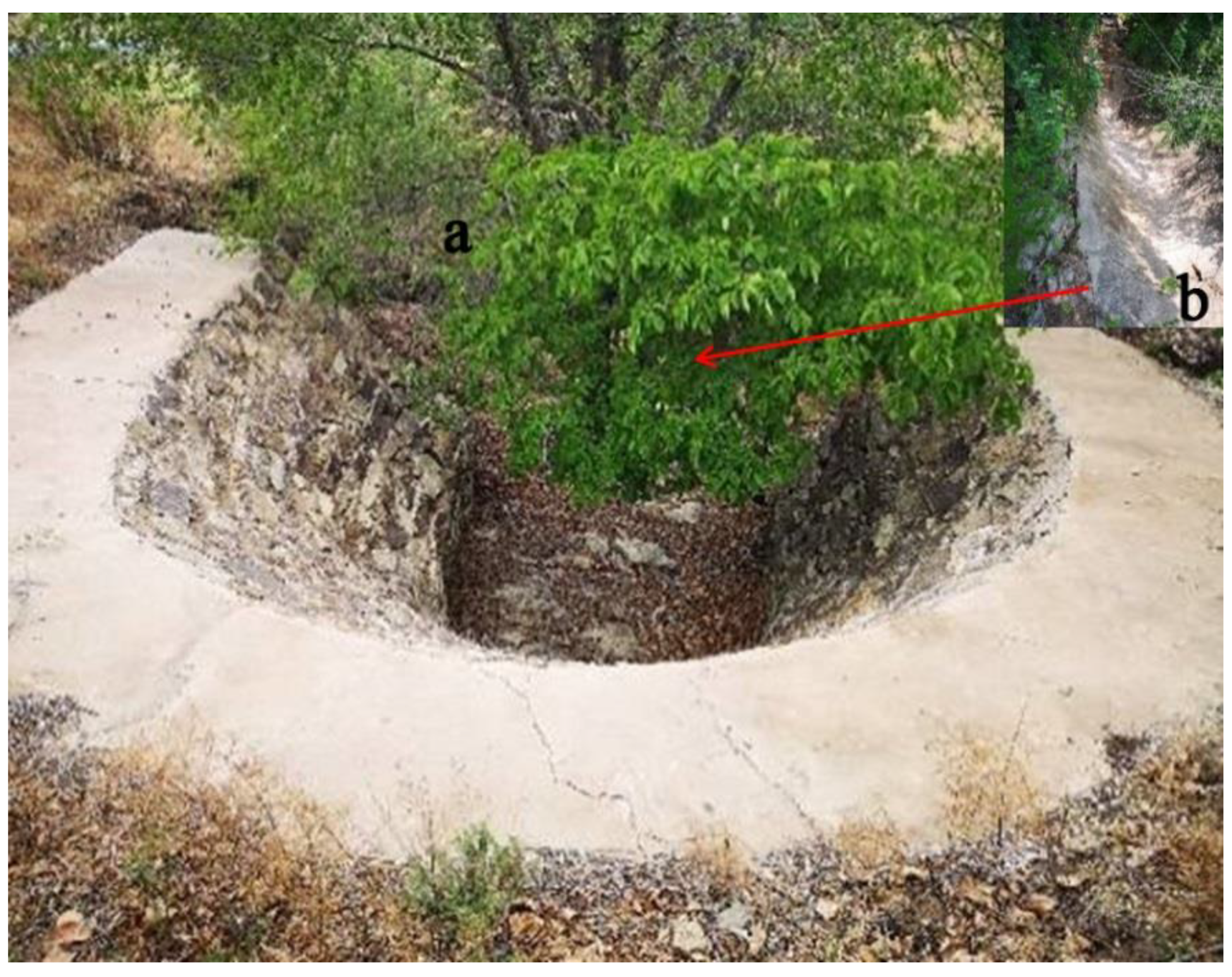 Sustainability 11 05065 g004