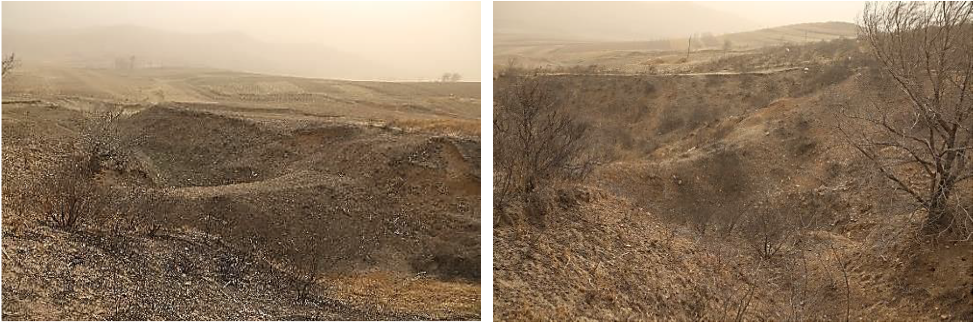 Sustainability 11 05065 g007