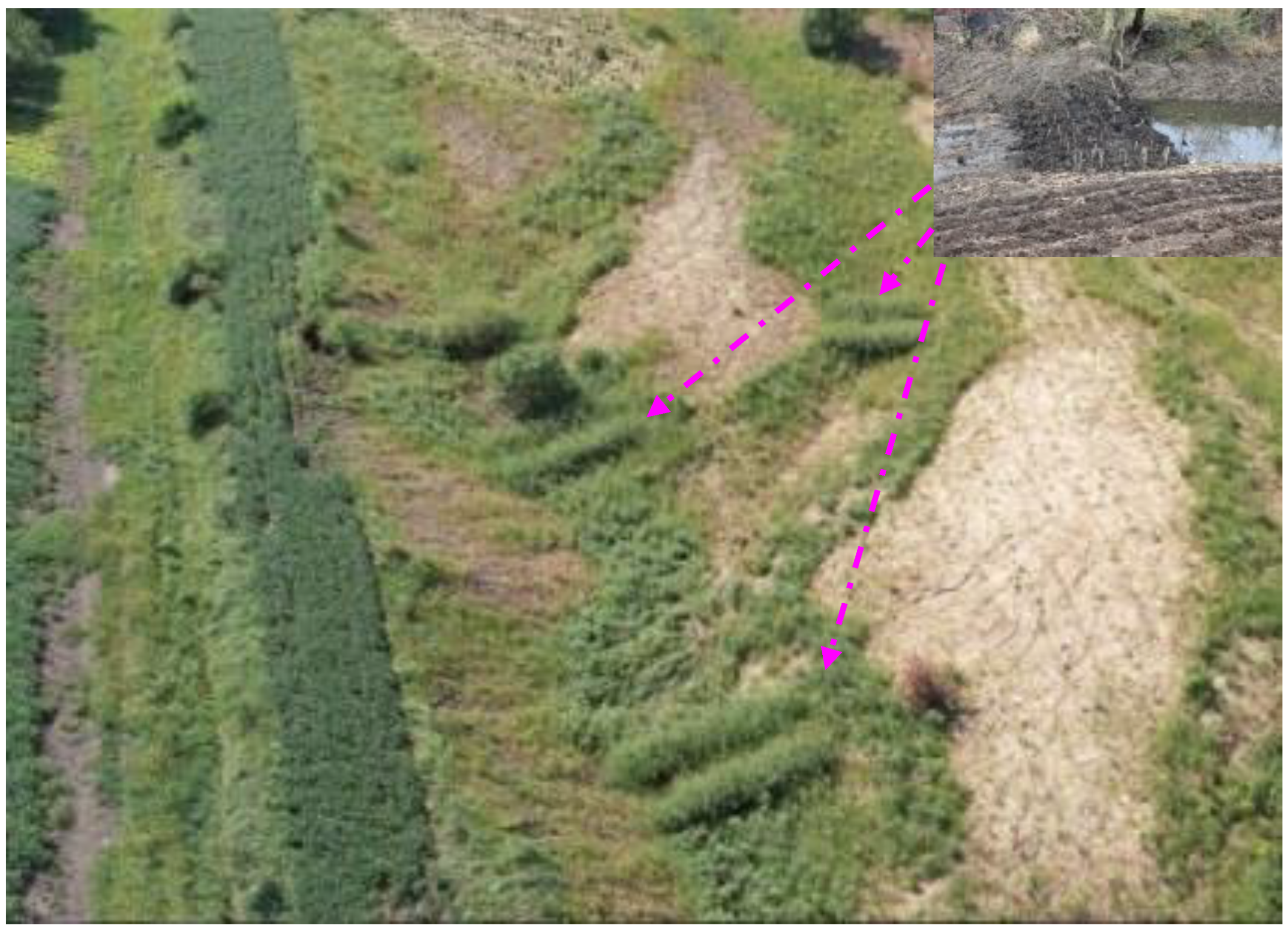 Sustainability 11 05065 g011