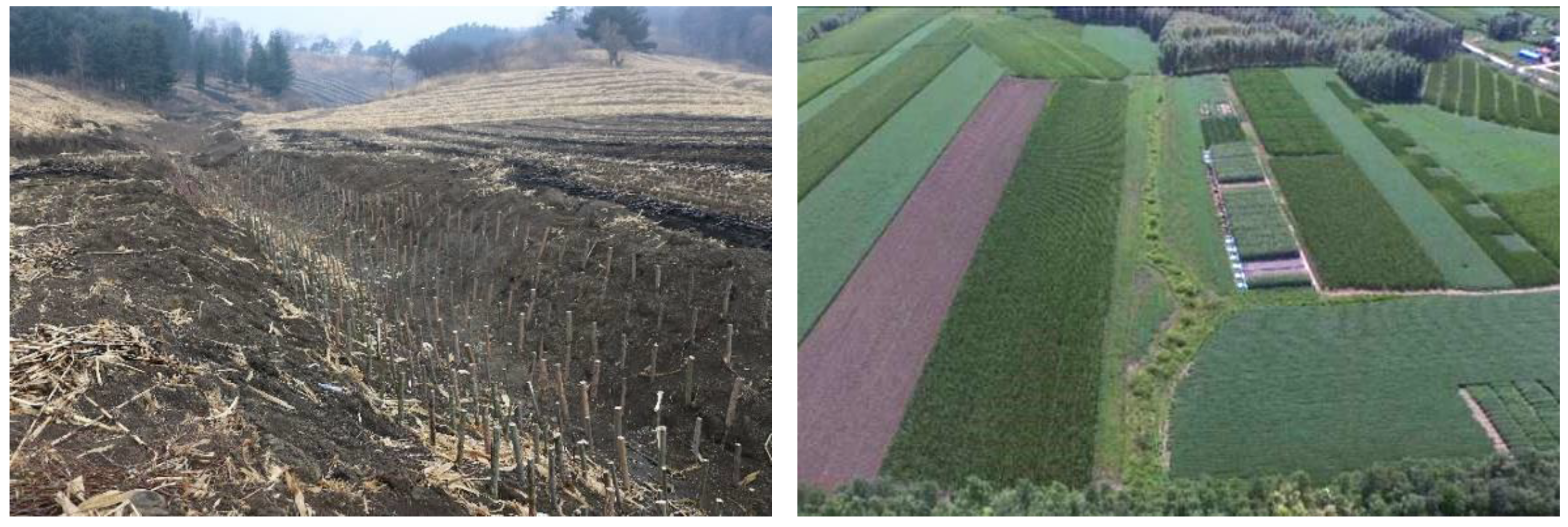 Sustainability 11 05065 g012