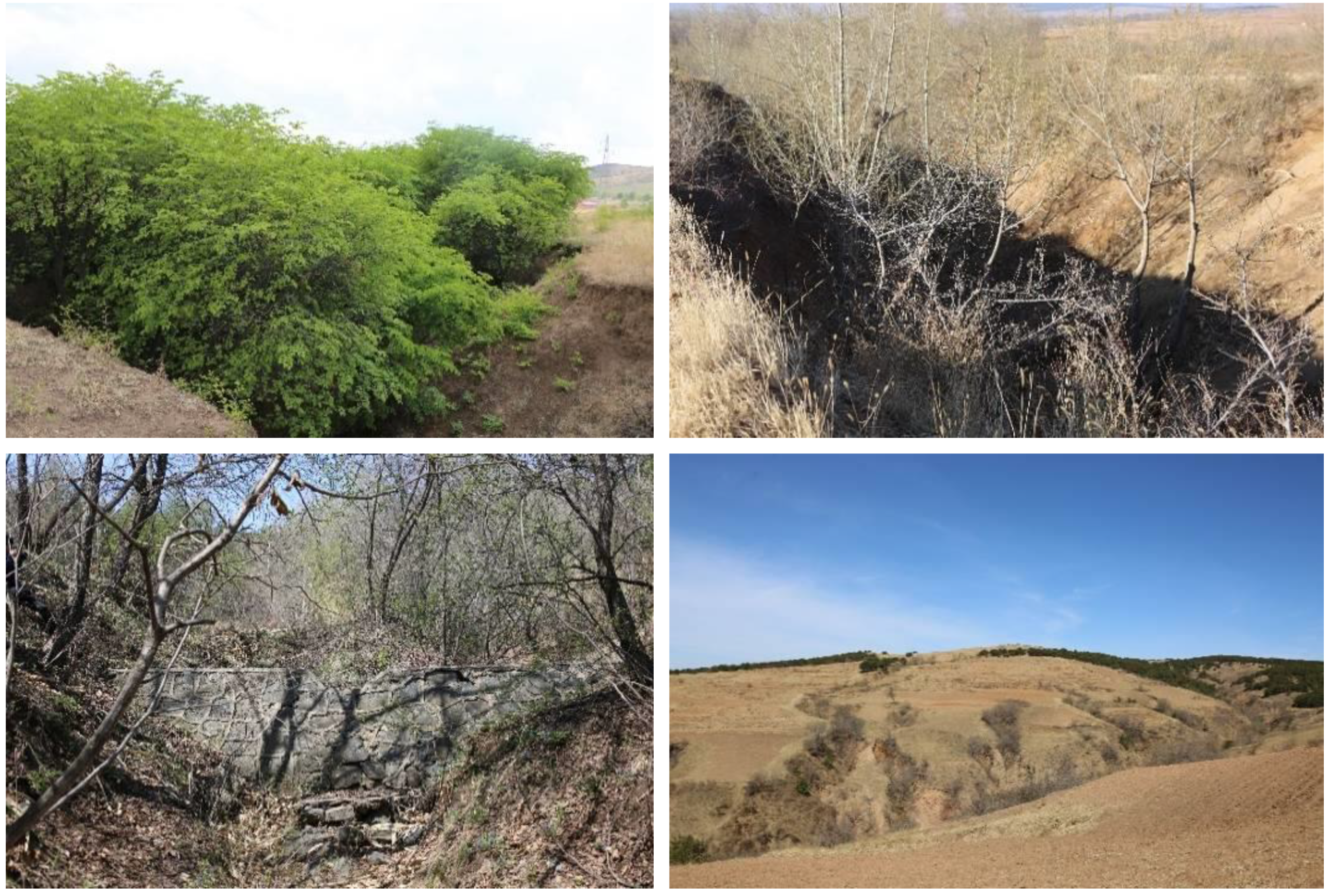 Sustainability 11 05065 g013