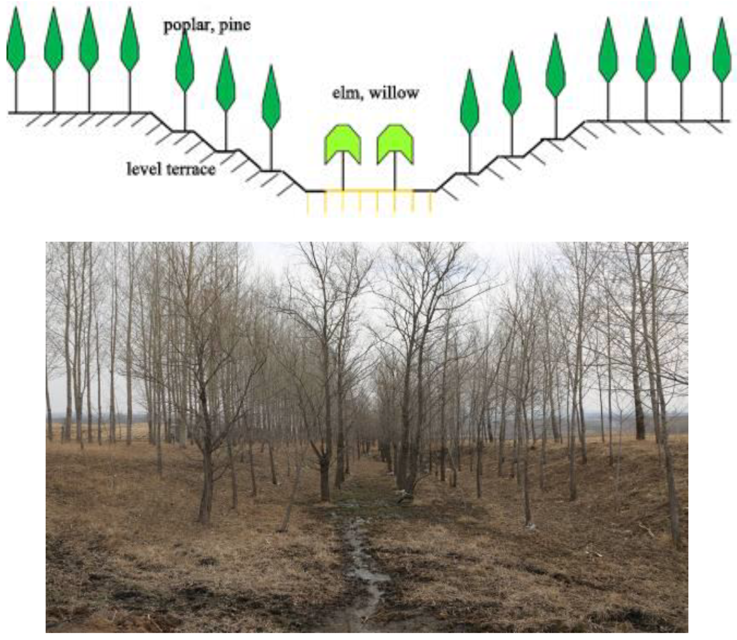 Sustainability 11 05065 g014