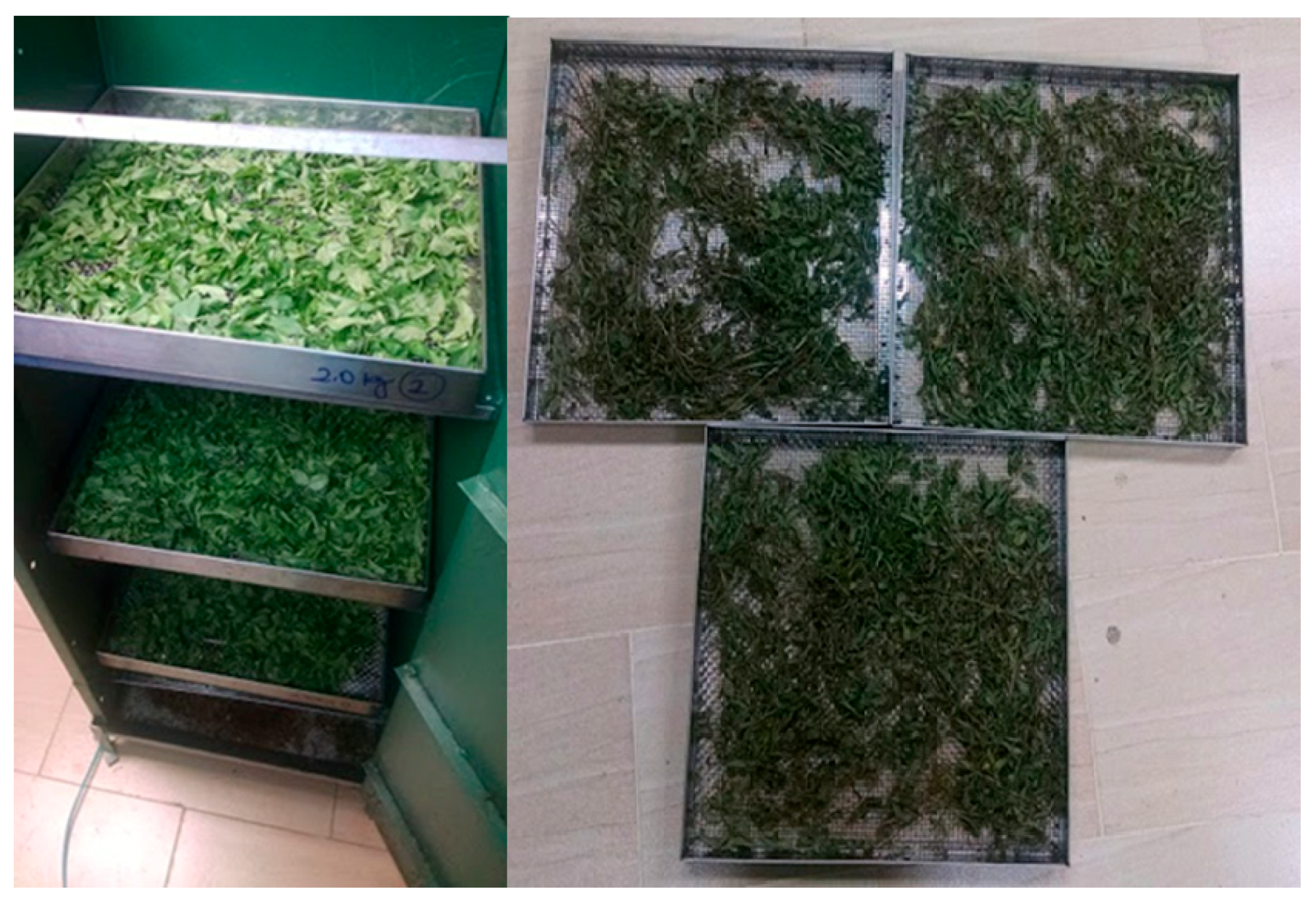 Sustainability 11 05121 g009