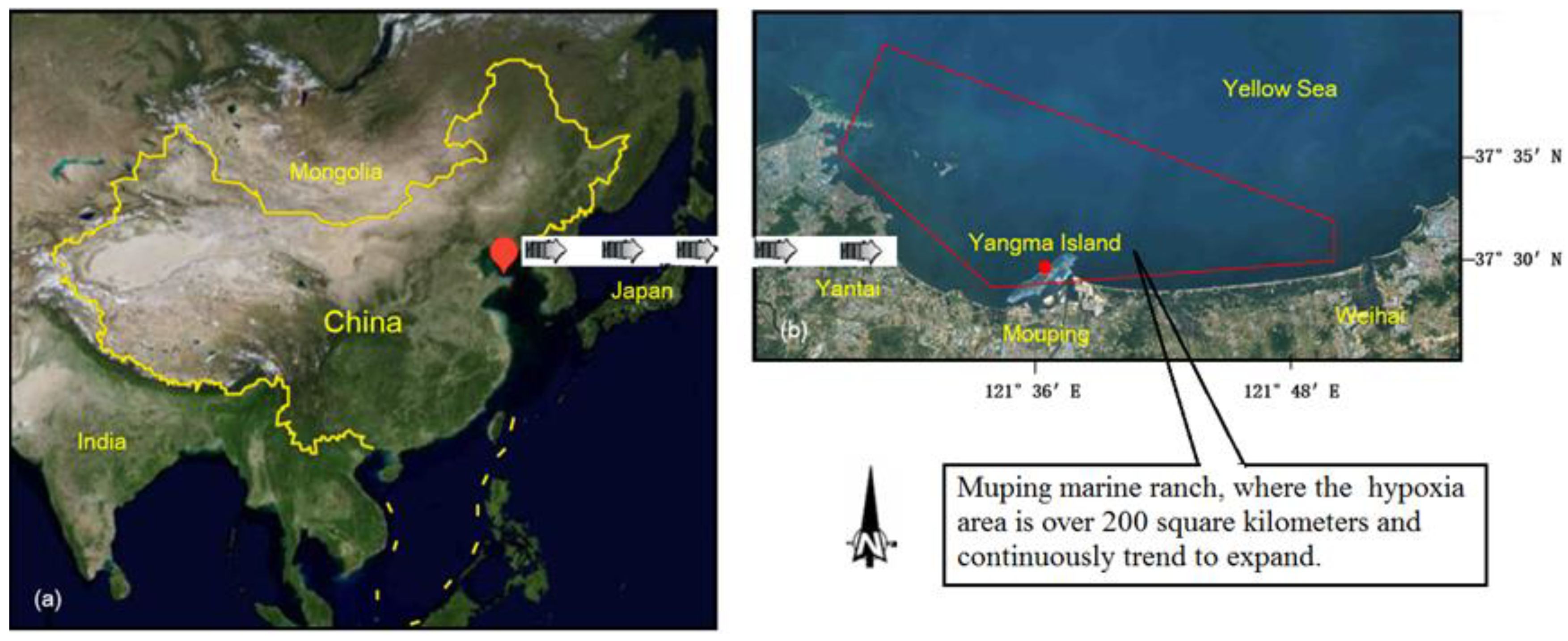 Sustainability 11 05268 g002