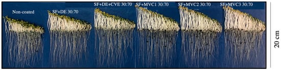 Sustainability 11 05304 g0a2