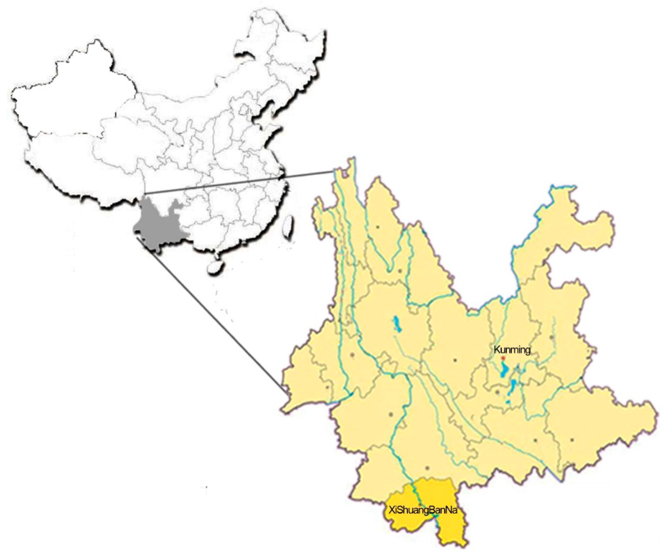 Sustainability 11 05333 g001