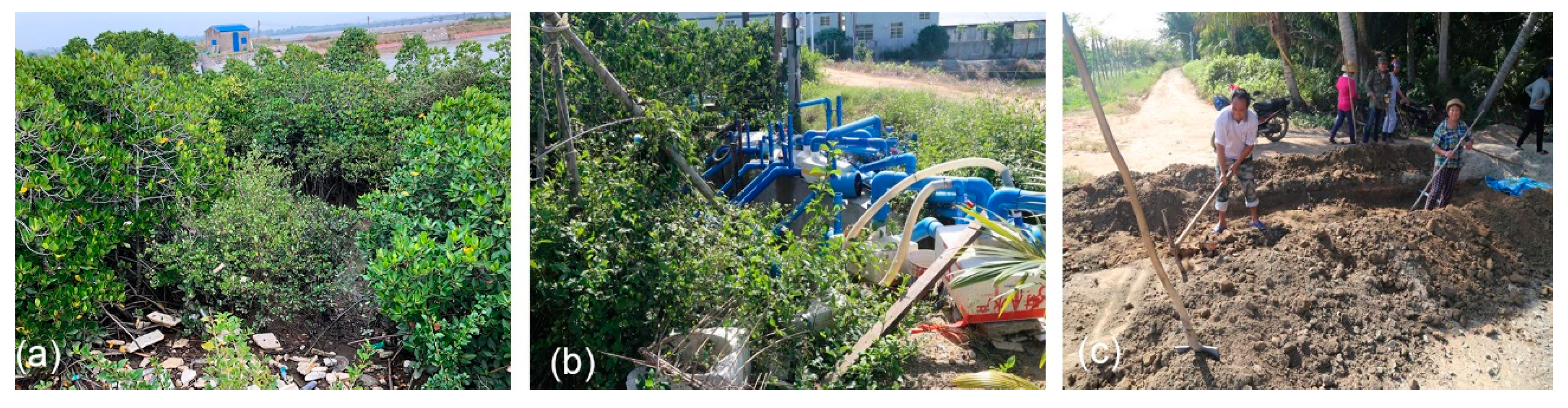 Sustainability 11 05356 g009