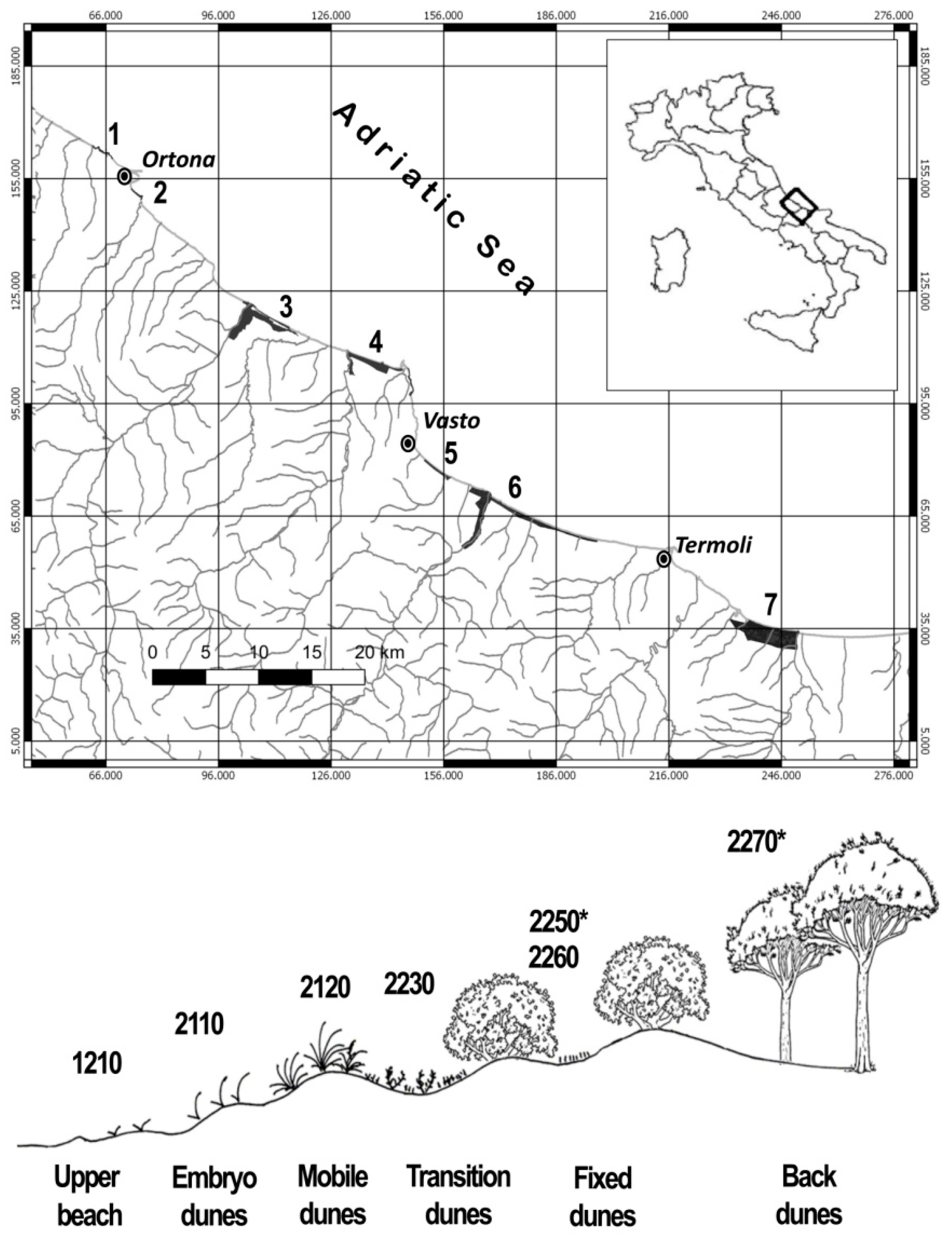 Sustainability 11 05446 g001