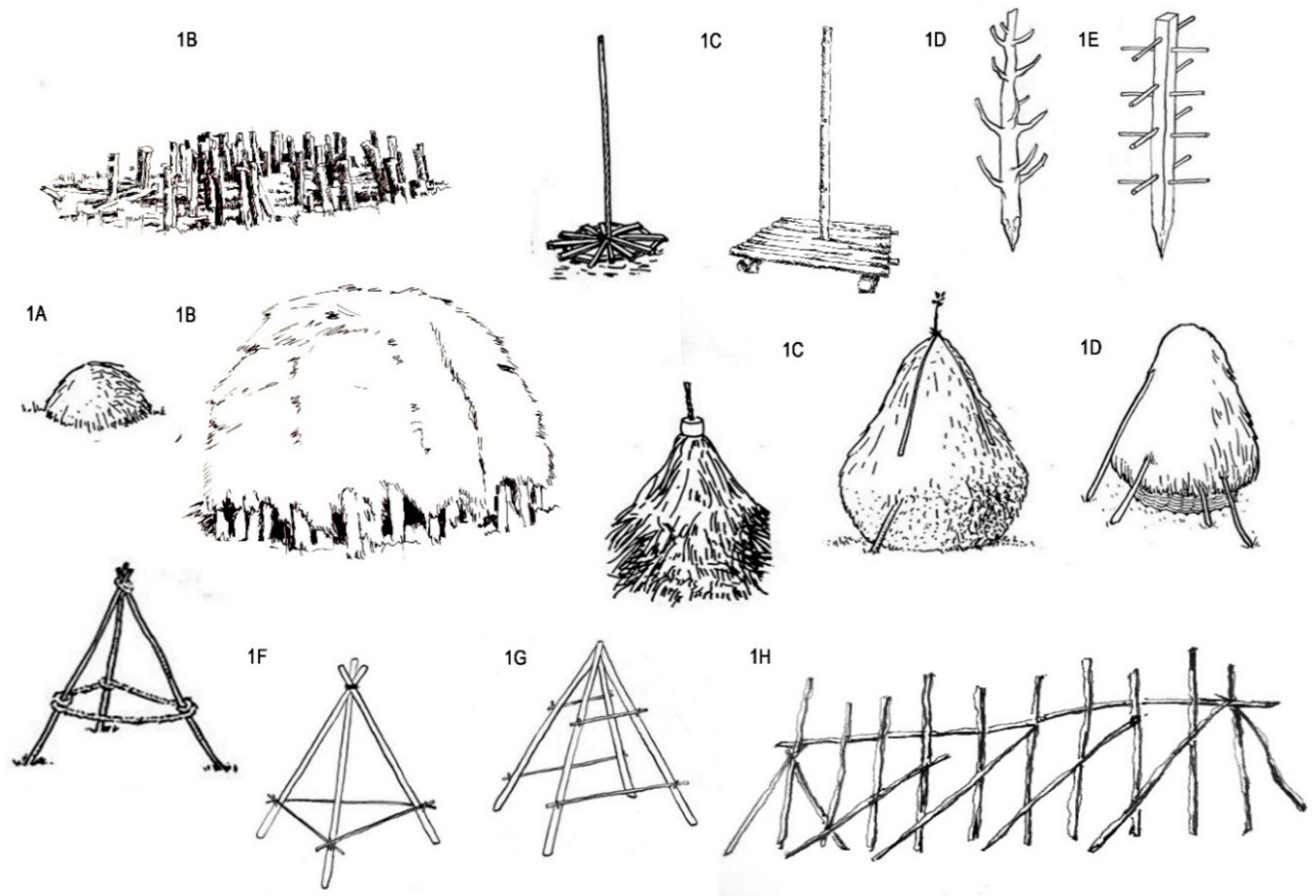 Sustainability 11 05581 g001